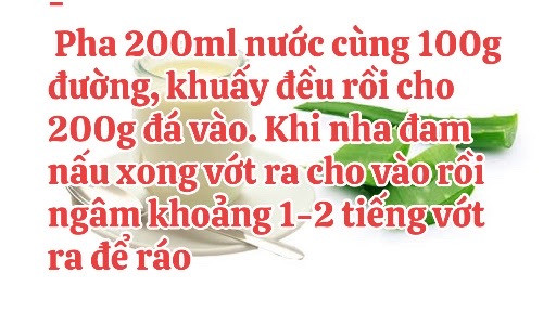 Hướng dẫn tự làm sữa chua nha đam mát lạnh tại nhà