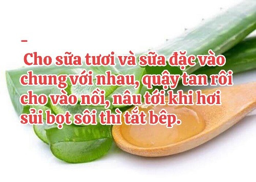 Hướng dẫn tự làm sữa chua nha đam mát lạnh tại nhà