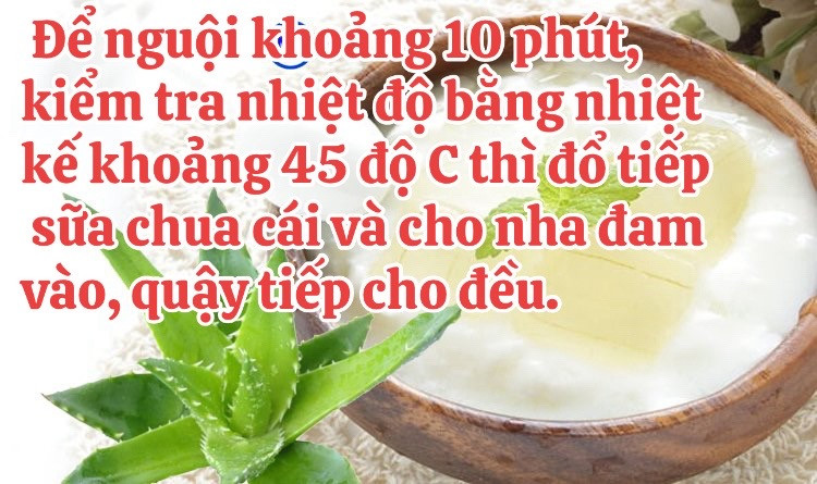 Hướng dẫn tự làm sữa chua nha đam mát lạnh tại nhà