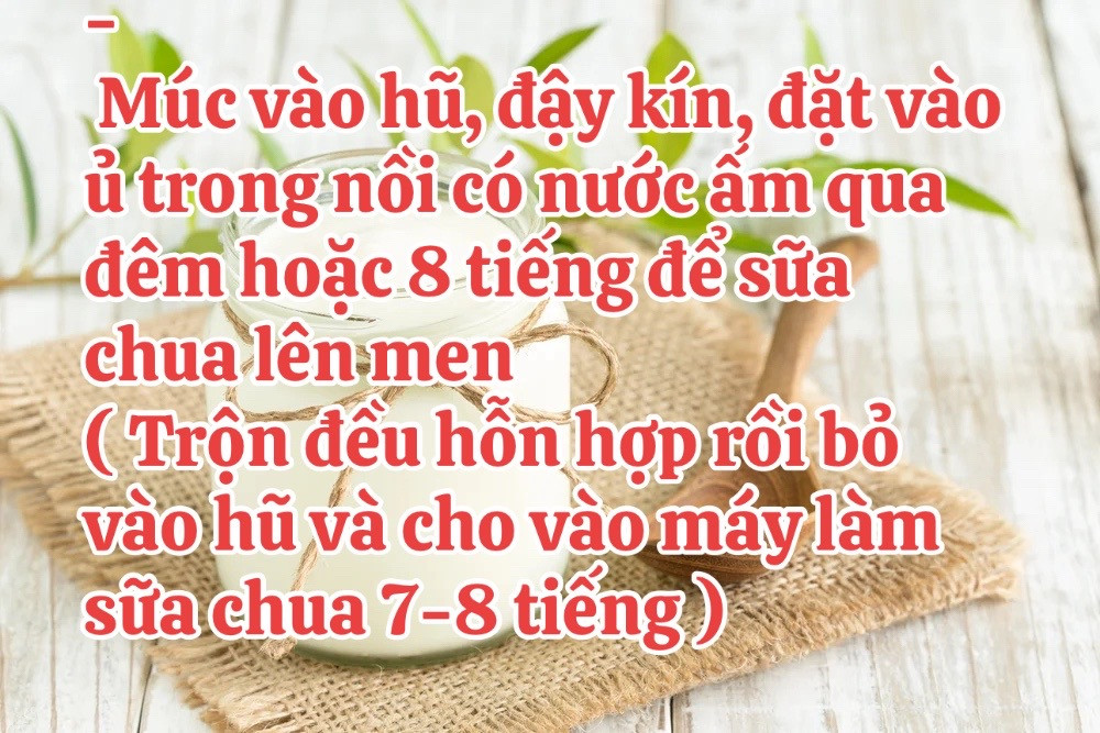 Hướng dẫn tự làm sữa chua nha đam mát lạnh tại nhà