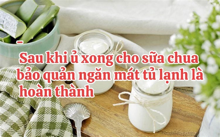 Hướng dẫn tự làm sữa chua nha đam mát lạnh tại nhà