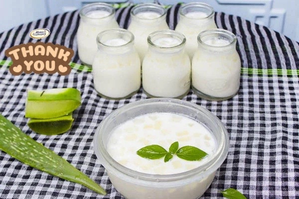 Hướng dẫn tự làm sữa chua nha đam mát lạnh tại nhà
