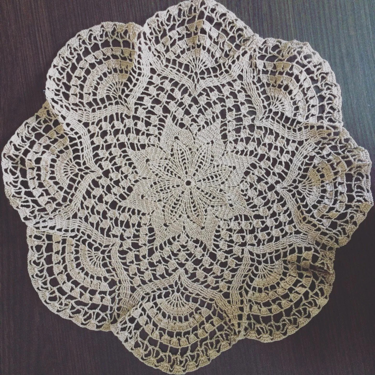 Intricate Floral Crochet Doily Pattern Chart with Detailed Stitch Instructions