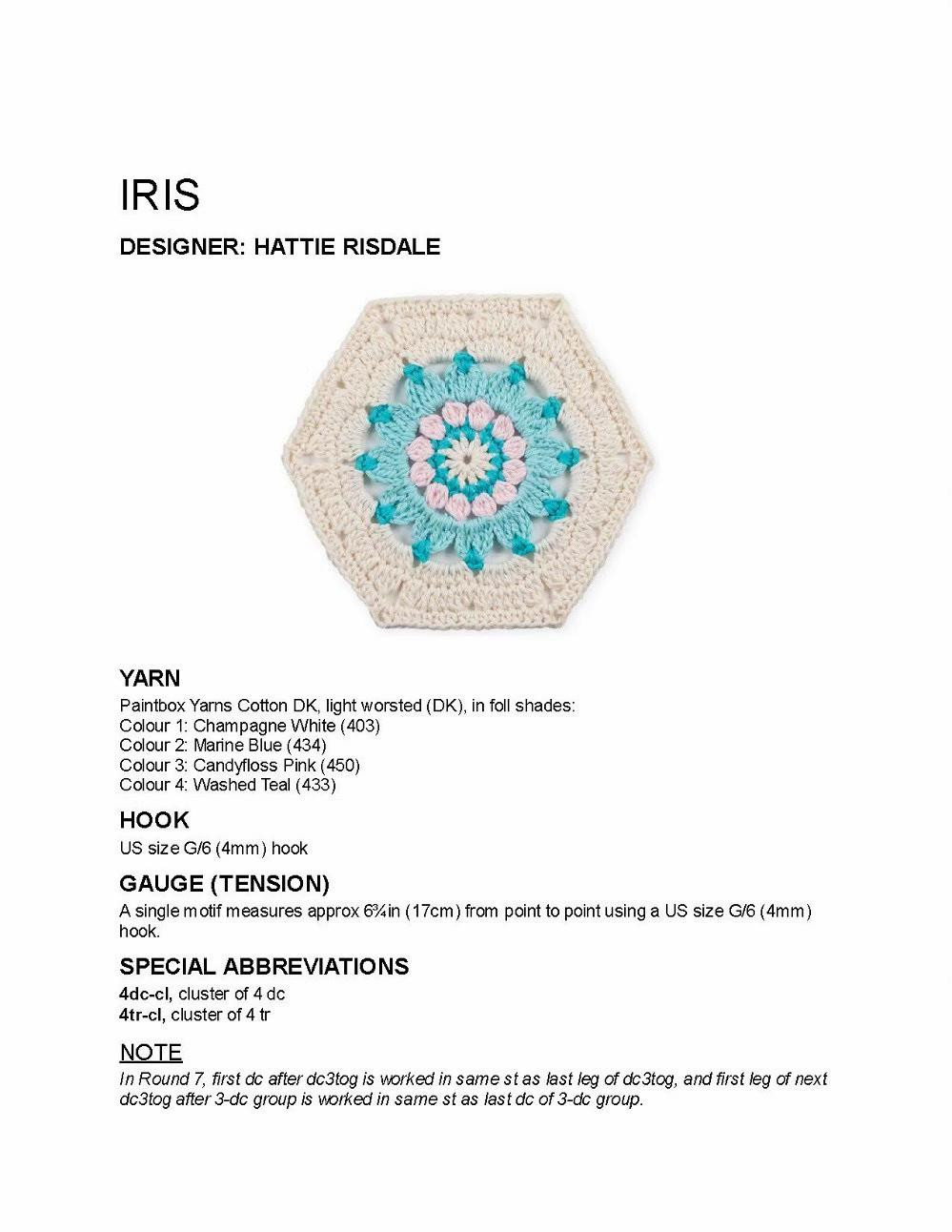 Iris Hexagon Crochet Pattern Chart by Hattie Risdale