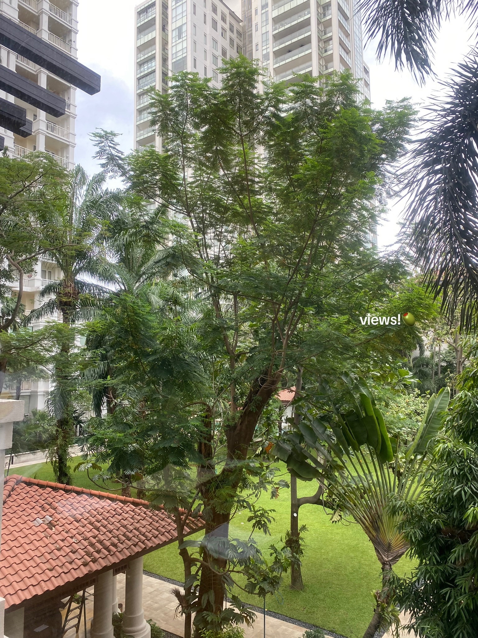 Japanese Lunch and Dinner Ideas at Shikaku Jakarta: Matcha Bask Cheesecake, Fried Cutlet with Tartar Sauce, and Premium Beef Hotpot Set