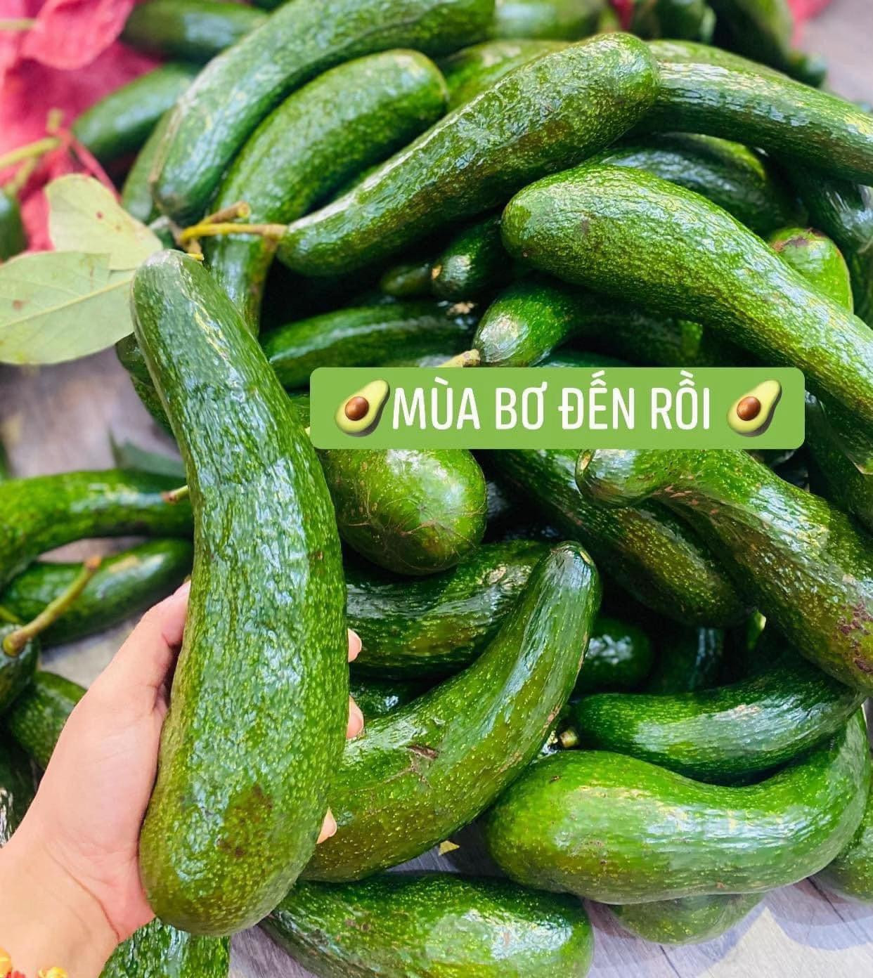 Kem chuối bơ healthy ăn vặt tốt cho sức khỏe