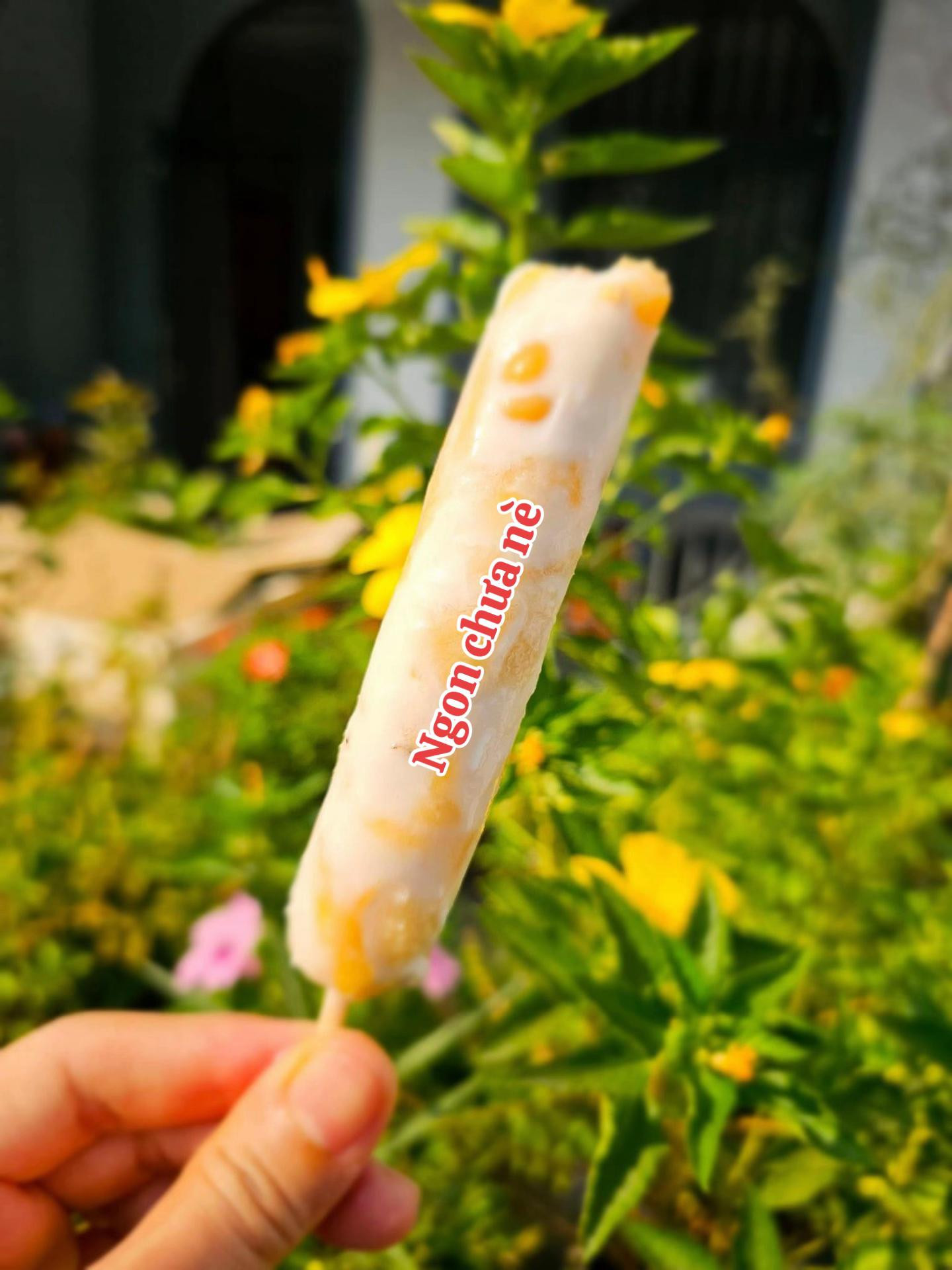 Kem chuối món ăn của tuổi thơ: Công thức làm kem chuối mứt dừa, mít và đậu phộng tại nhà đơn giản