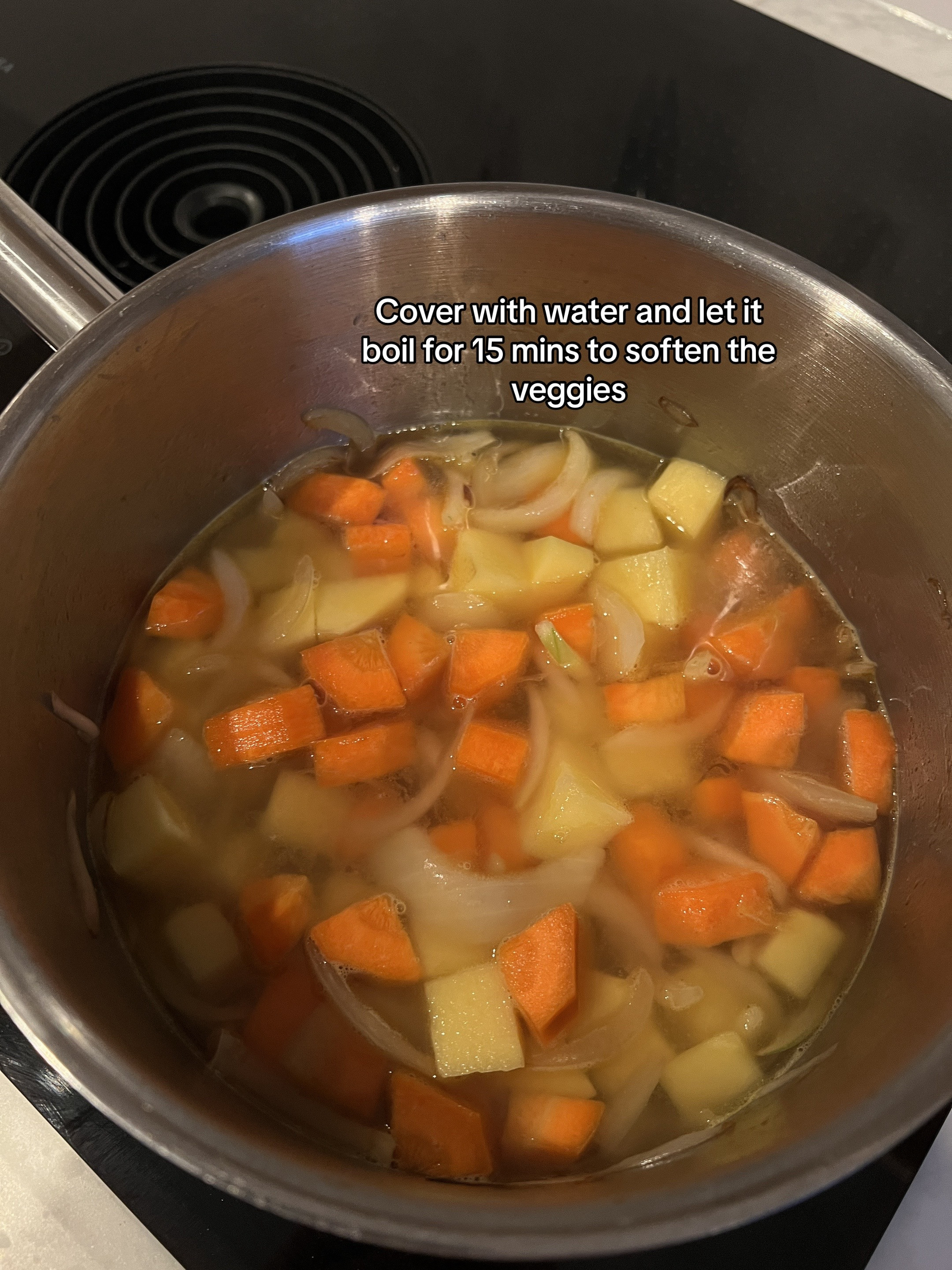 Lets make KATSU CURRY: Easy & cheap Japanese curry with crispy pork cutlet, potatoes, carrots, and onions over rice