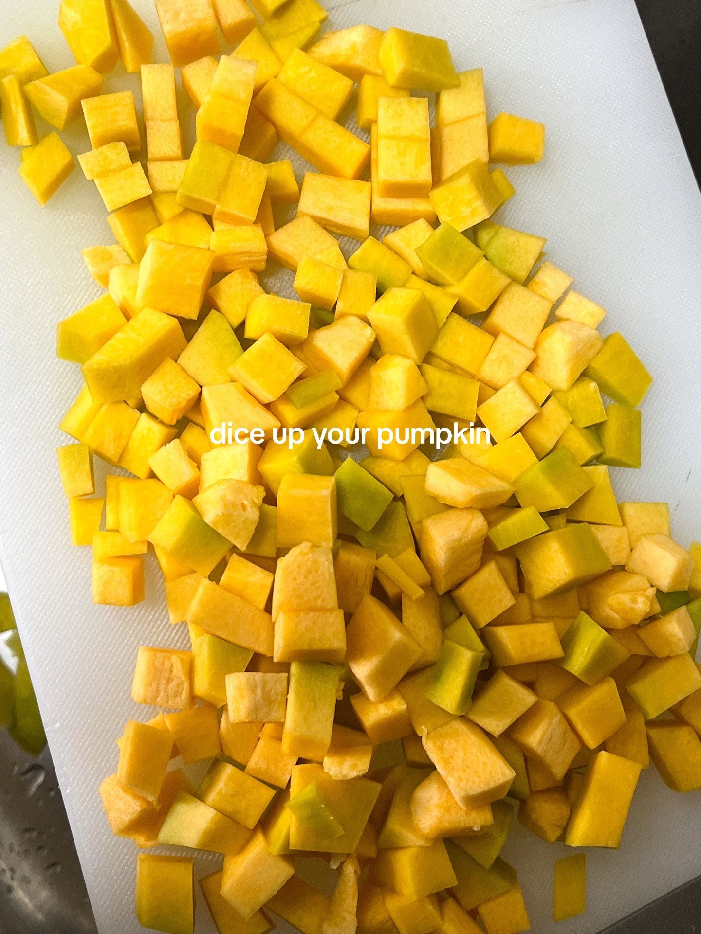 Make Pumpkin Bacon Rigatoni with me