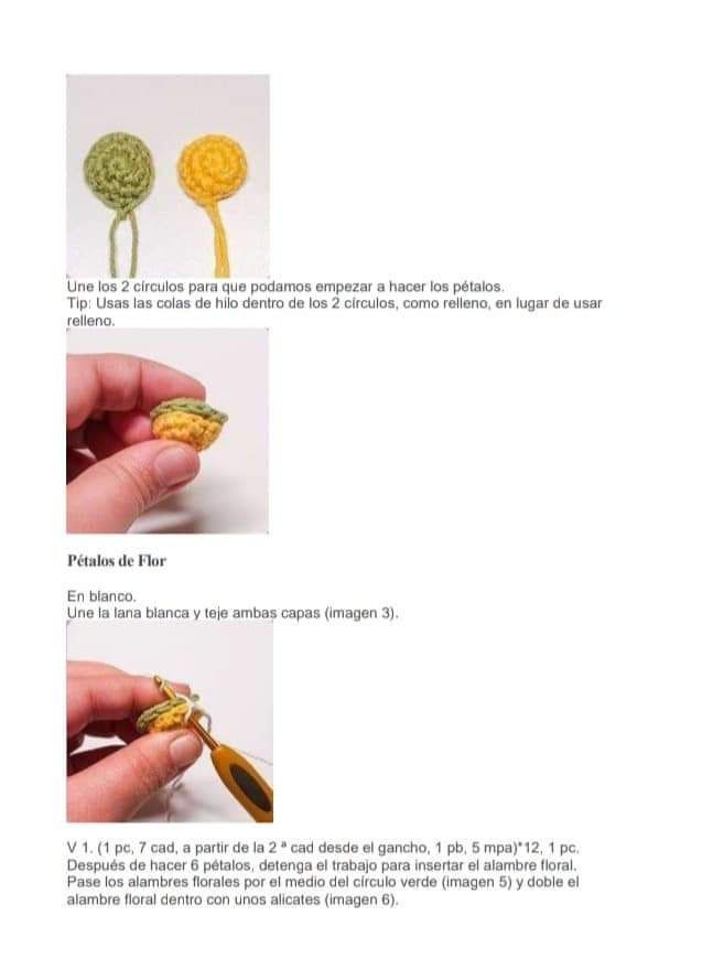 Margaritas Flor Amigurumi Patrones Gratis PDF