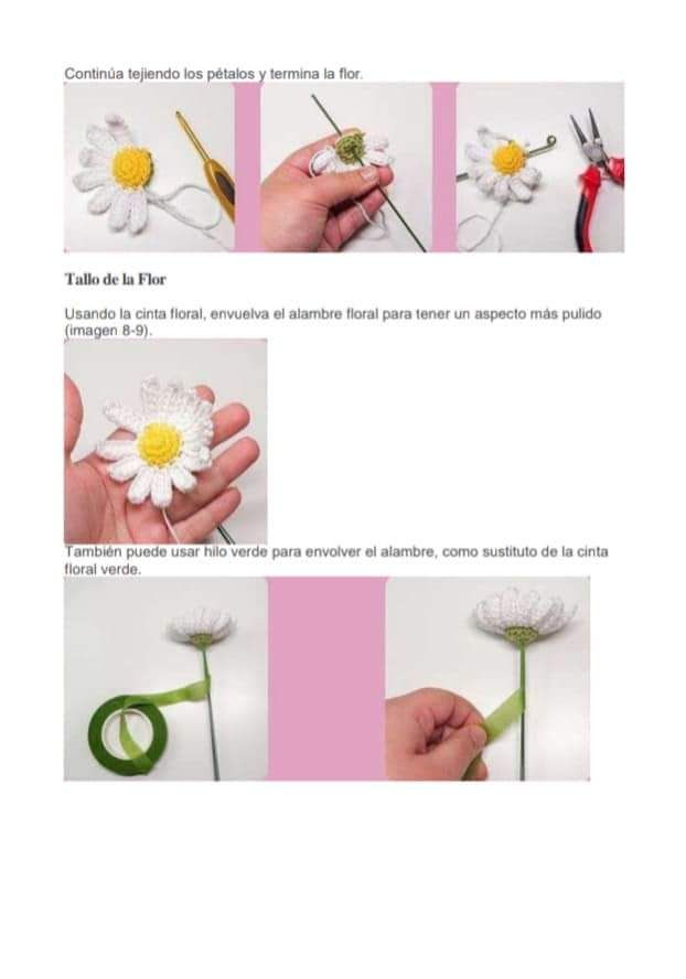 Margaritas Flor Amigurumi Patrones Gratis PDF