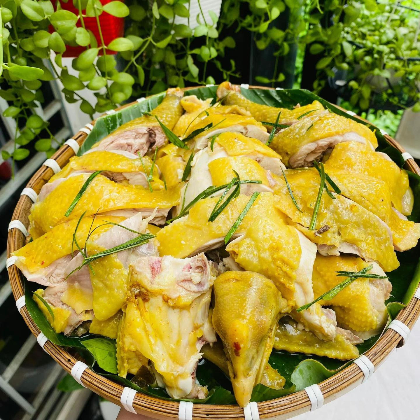 Mẹo làm Gà Luộc Nghệ vàng ươm, thơm lừng với nước chấm tỏi ớt chuẩn vị