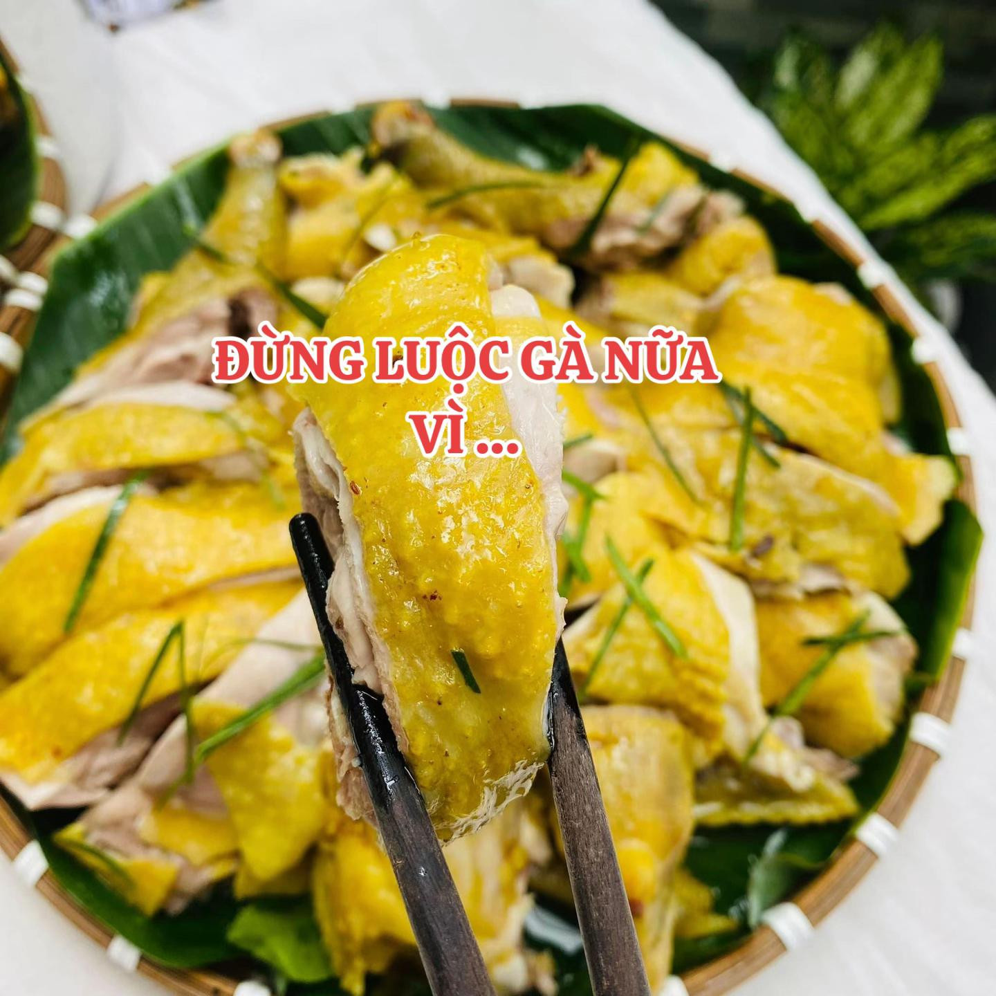 Mẹo làm Gà Luộc Nghệ vàng ươm, thơm lừng với nước chấm tỏi ớt chuẩn vị