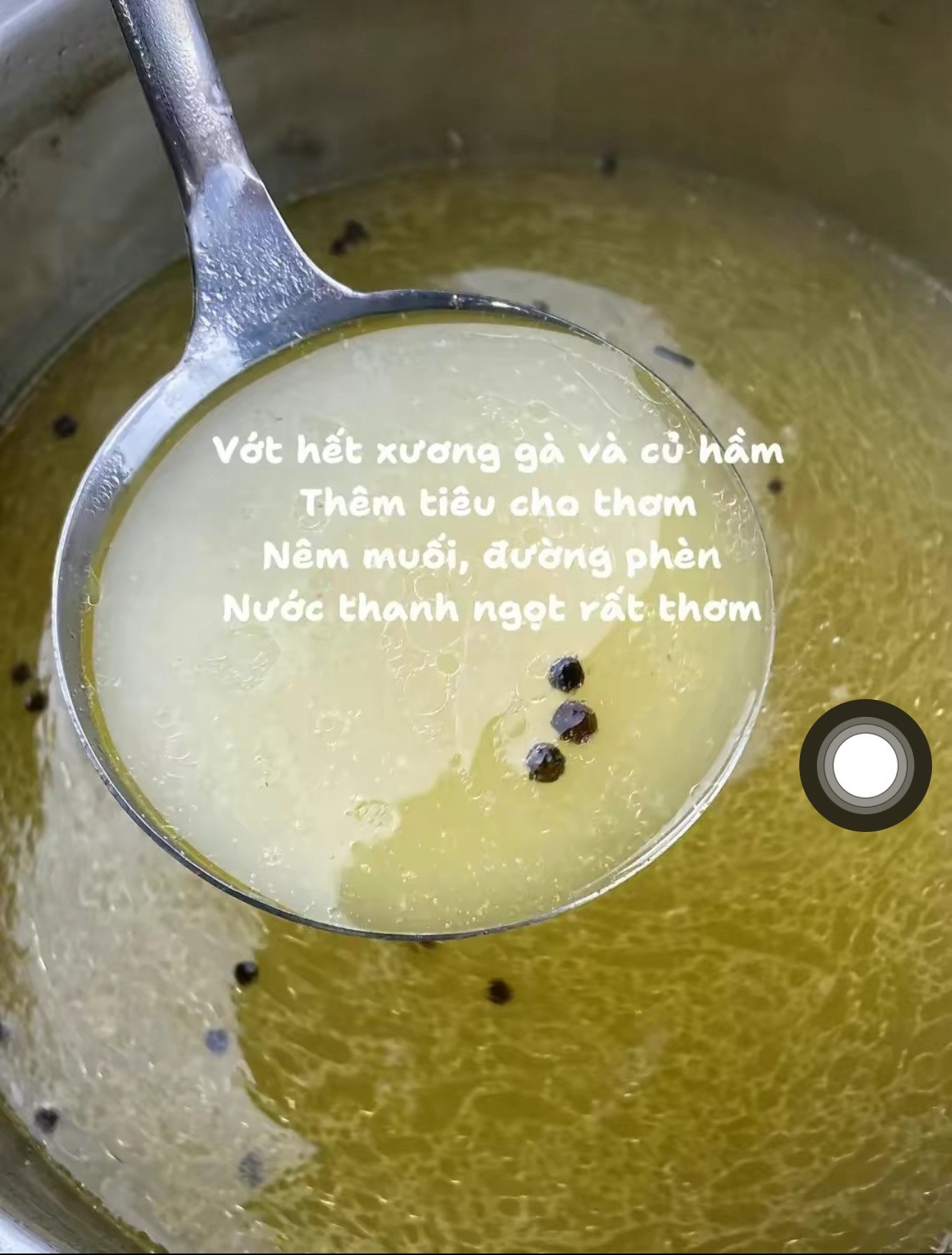 Mìến Gà Ngon Mê Li - Cách Làm Mìến Gà Nước Dừa Thanh Ngọt, Thịt Gà Hấp Dẫn