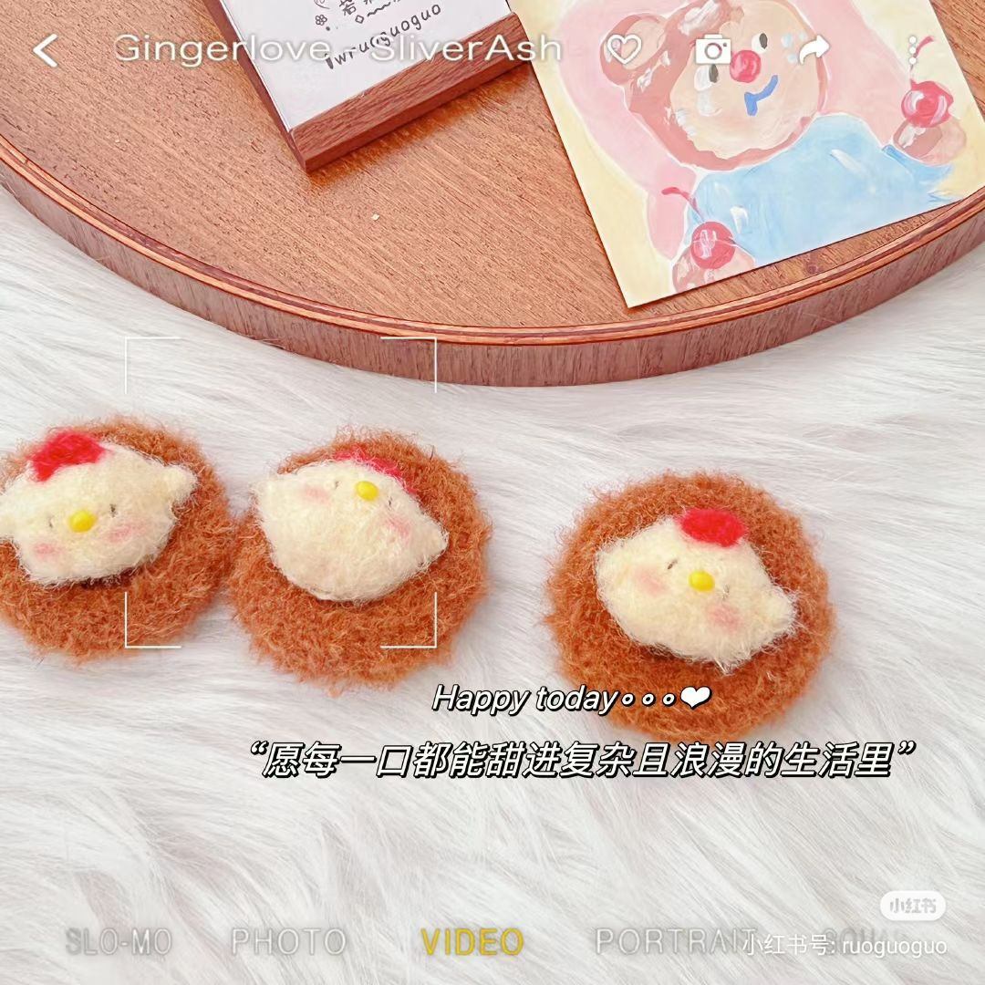 Mini Chicken Crochet Pattern Chart with Handwritten Instructions