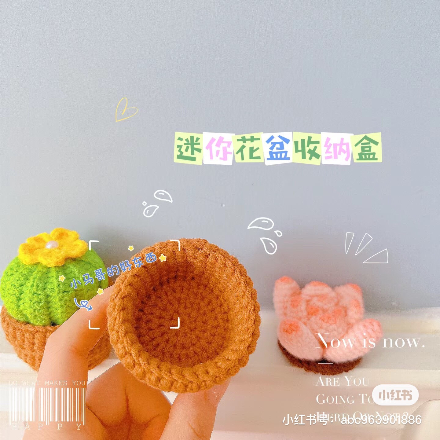 Mini Crochet Flower Pot Storage Box Pattern with Cactus and Succulent Plant Chart Instructions