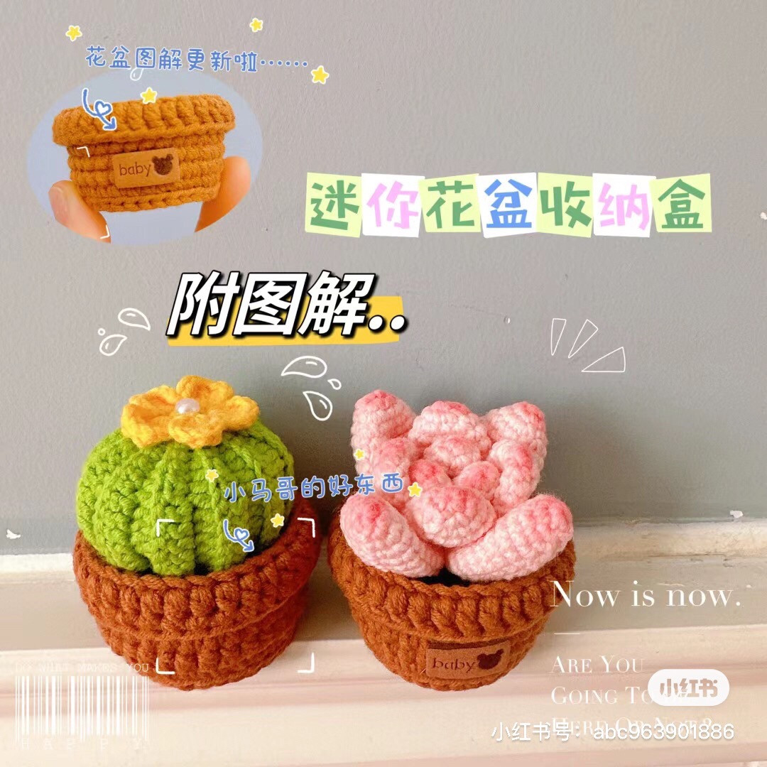Mini Crochet Flower Pot Storage Box Pattern with Cactus and Succulent Plant Chart Instructions