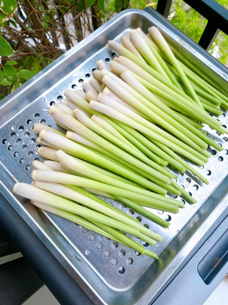 Nem nướng: Thịt nướng xiên que đậm đà ăn kèm bánh tráng, rau sống và nước chấm