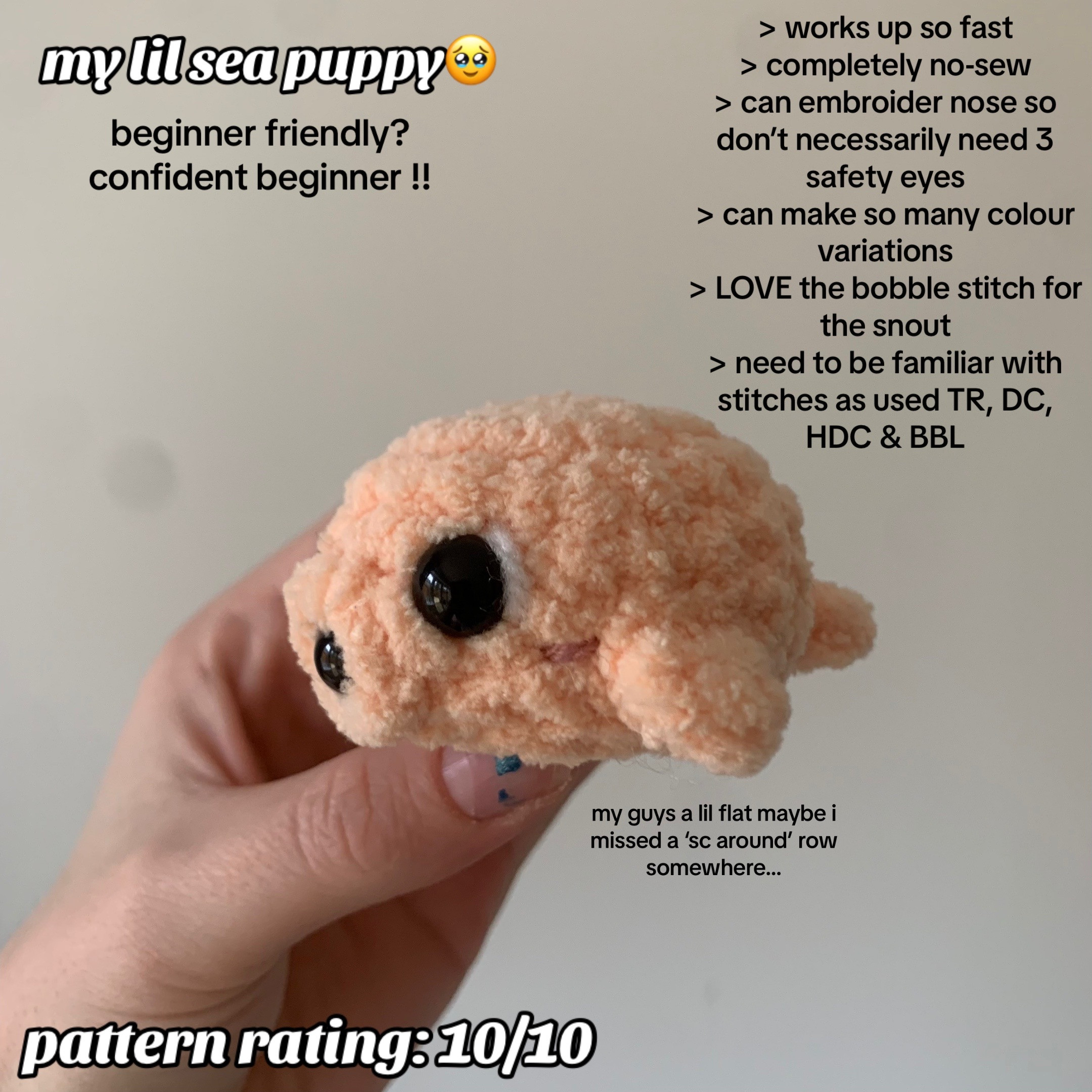 No Sew Sammy the Seal Crochet Pattern