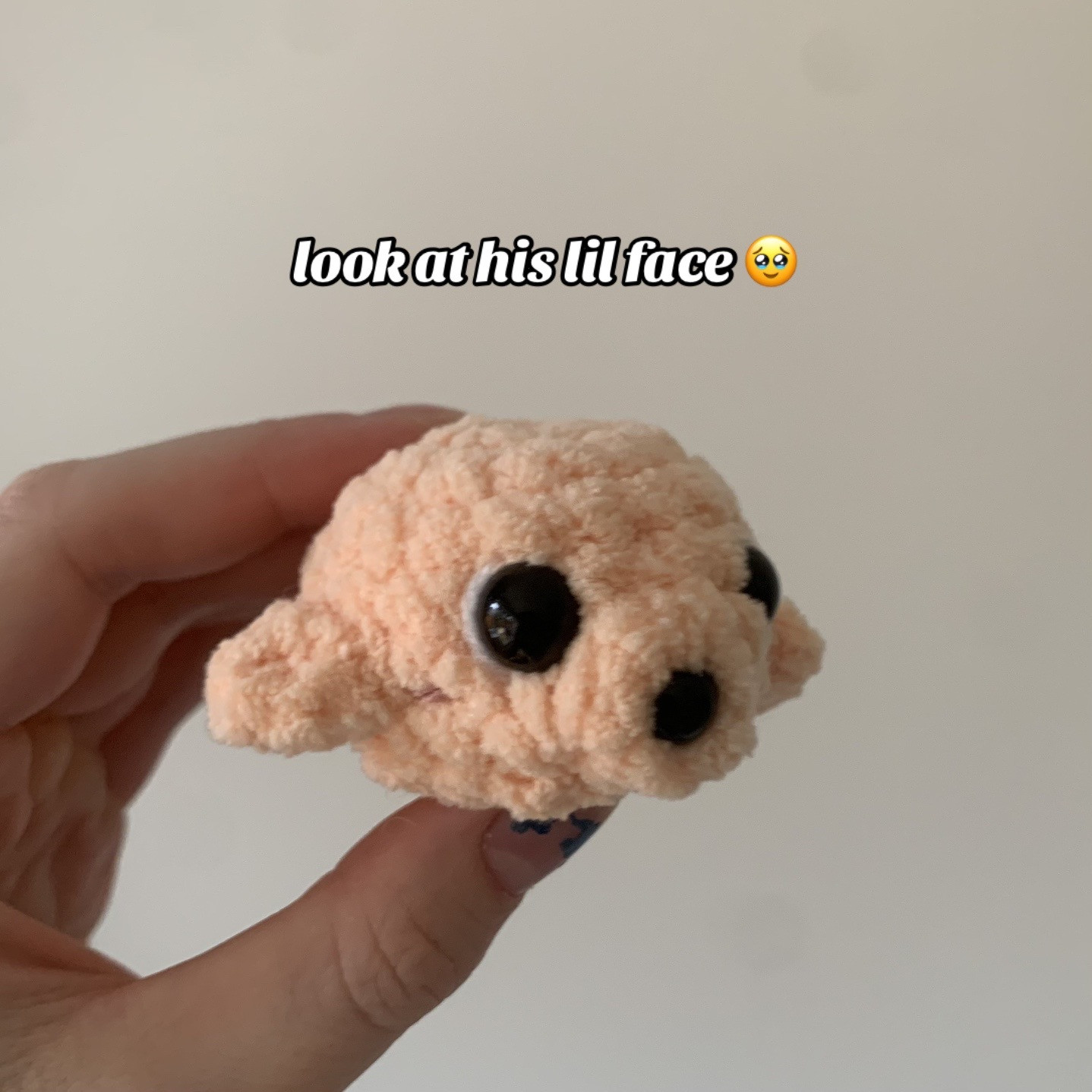 No Sew Sammy the Seal Crochet Pattern