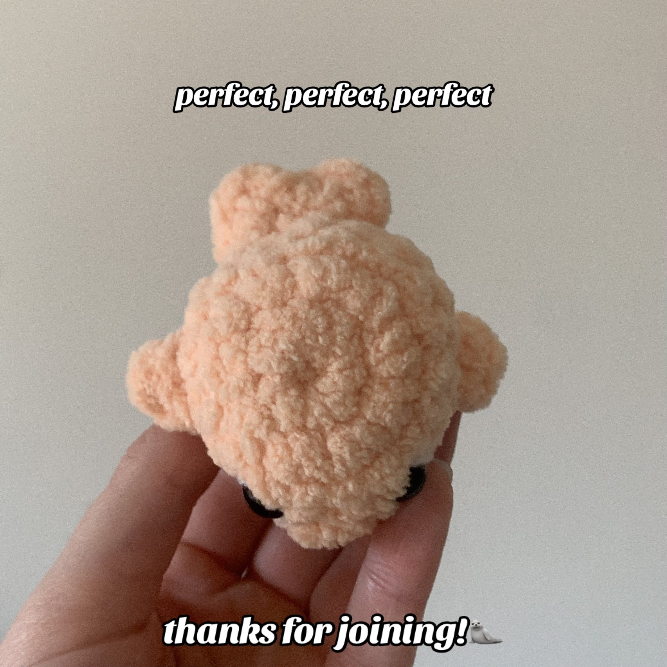 No Sew Sammy the Seal Crochet Pattern