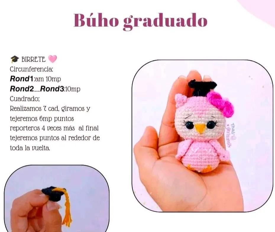 Pareja de búhos graduados: Patrón tejido a crochet