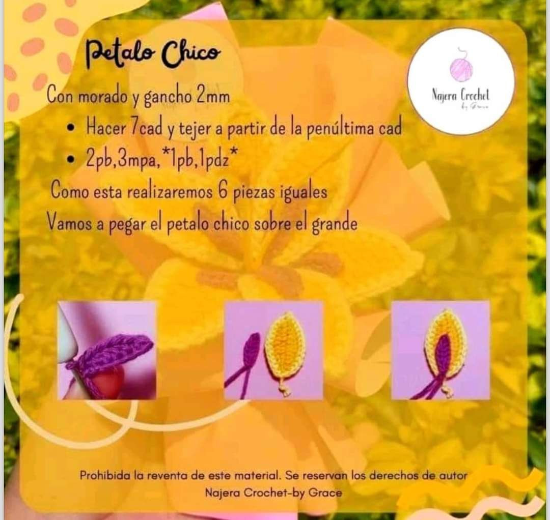 Patrón Flor que da Fulgor - Móc len hoa vàng tím hướng dẫn chi tiết