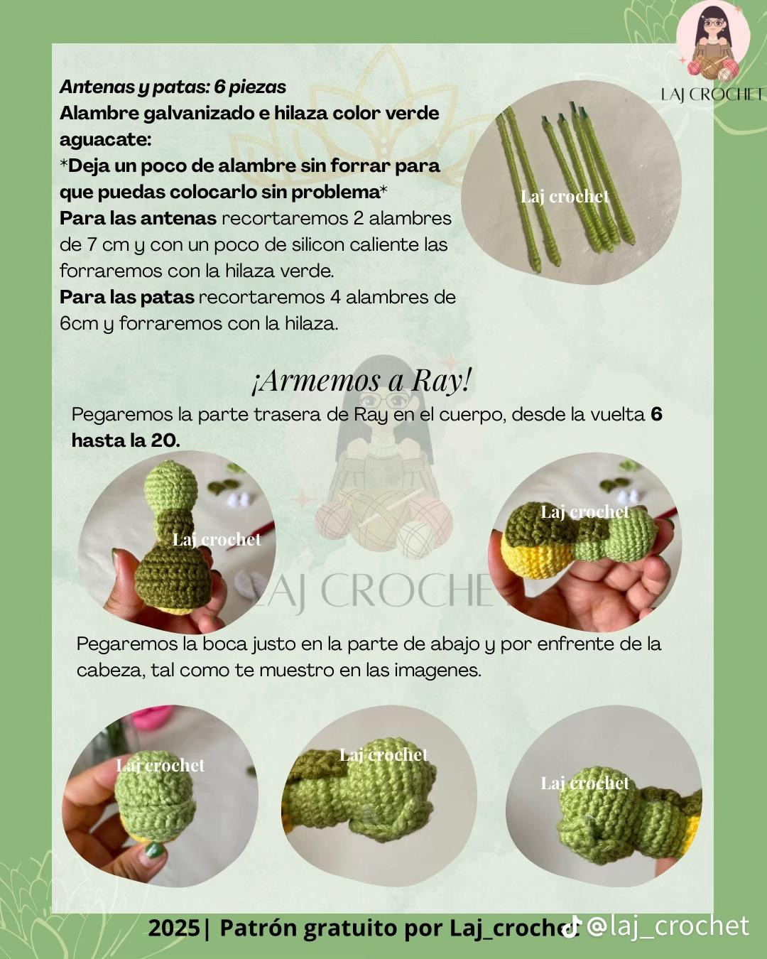 Patrón gratis Ray y la Flor de Loto: Luciernaga amigurumi verde y blanca