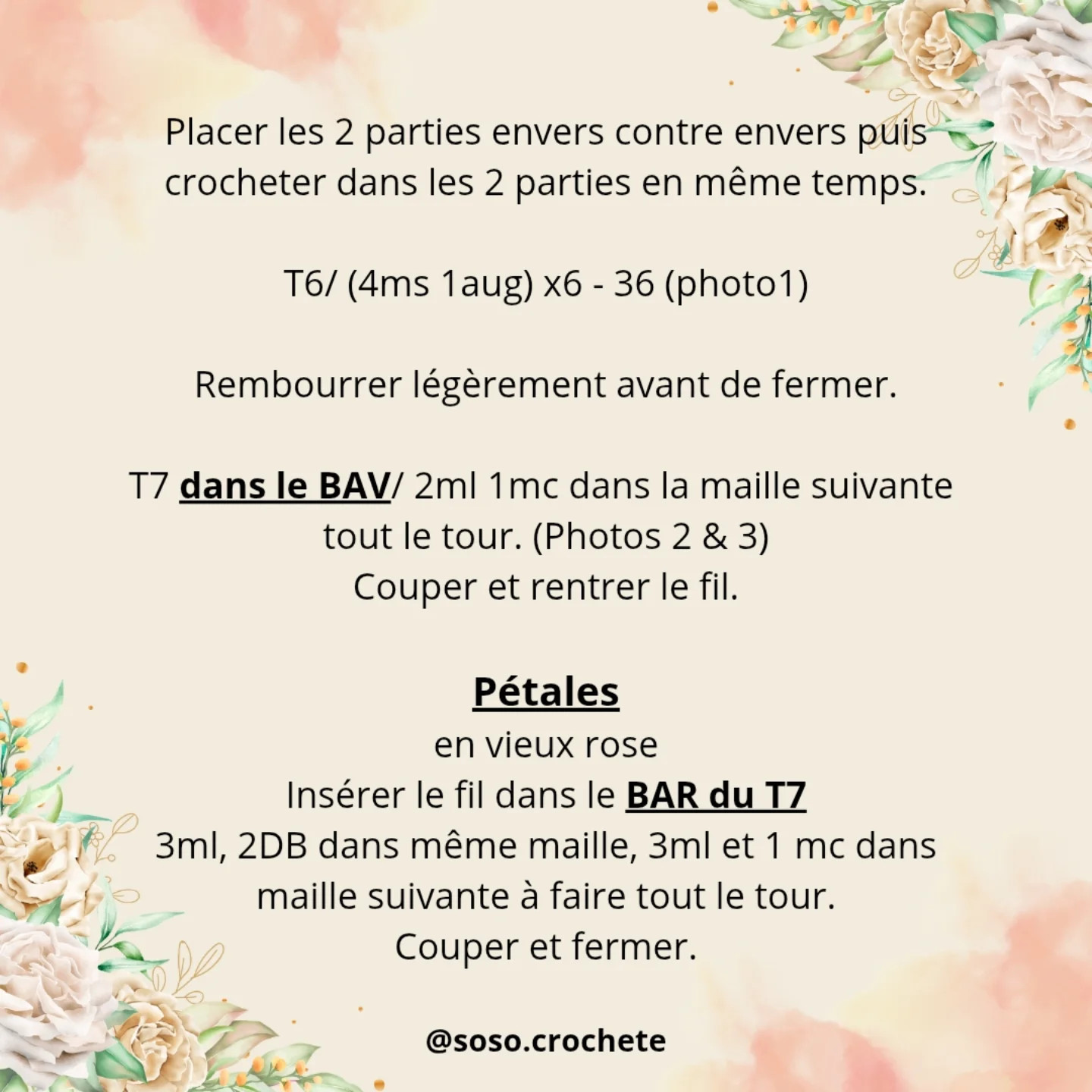 Patron gratuit : Fleur de jardin et coccinelle en crochet