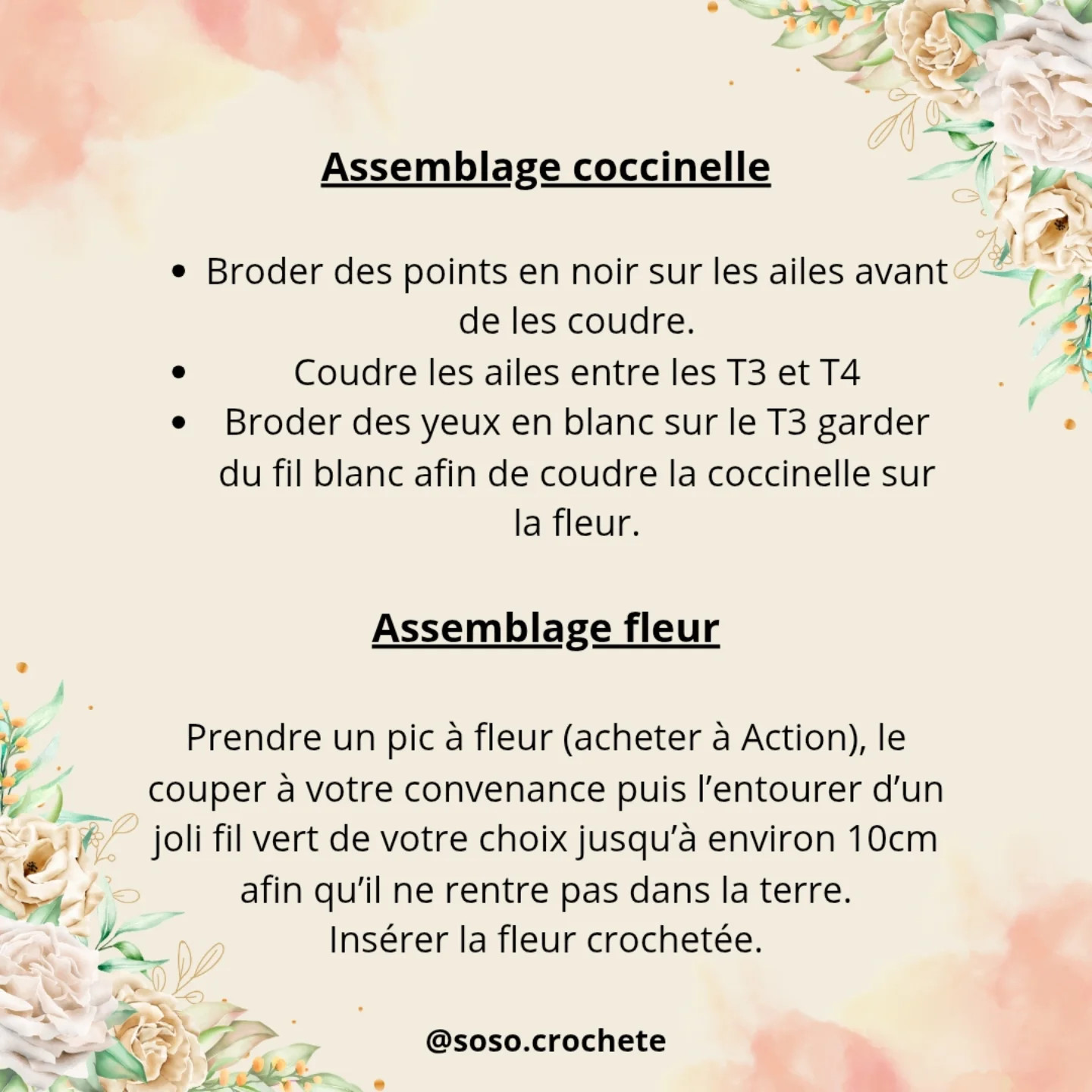 Patron gratuit : Fleur de jardin et coccinelle en crochet