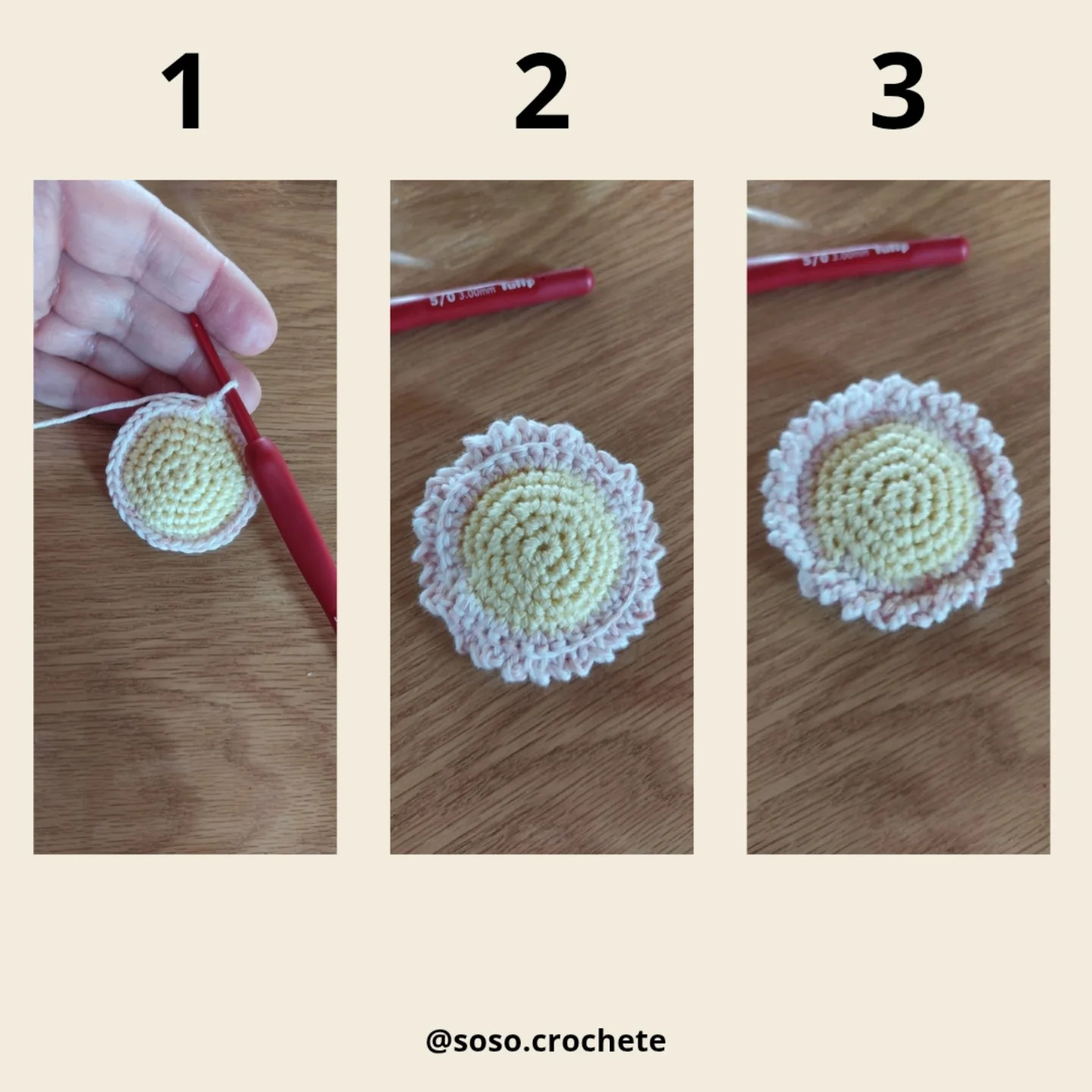 Patron gratuit : Fleur de jardin et coccinelle en crochet