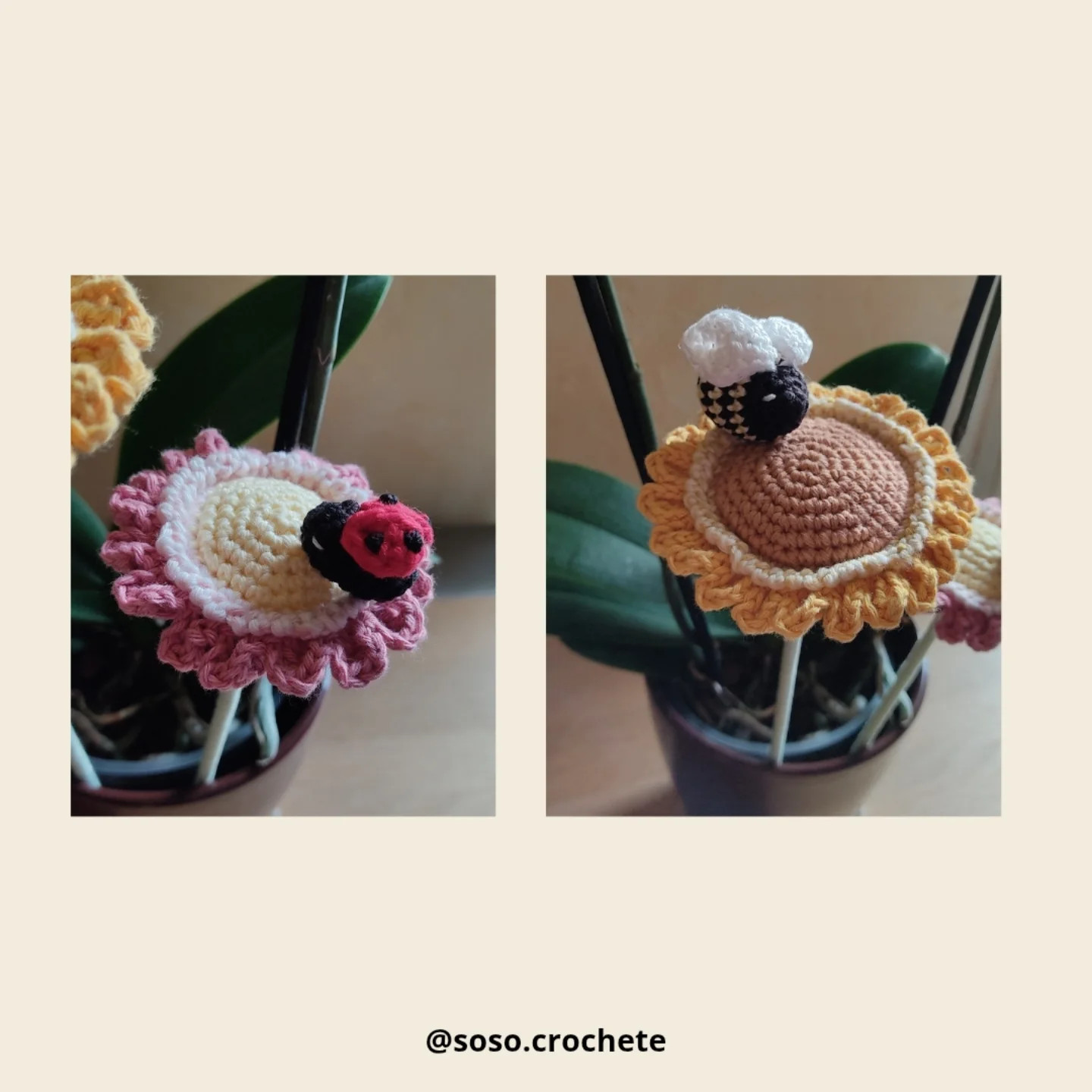 Patron gratuit : Fleur de jardin et coccinelle en crochet