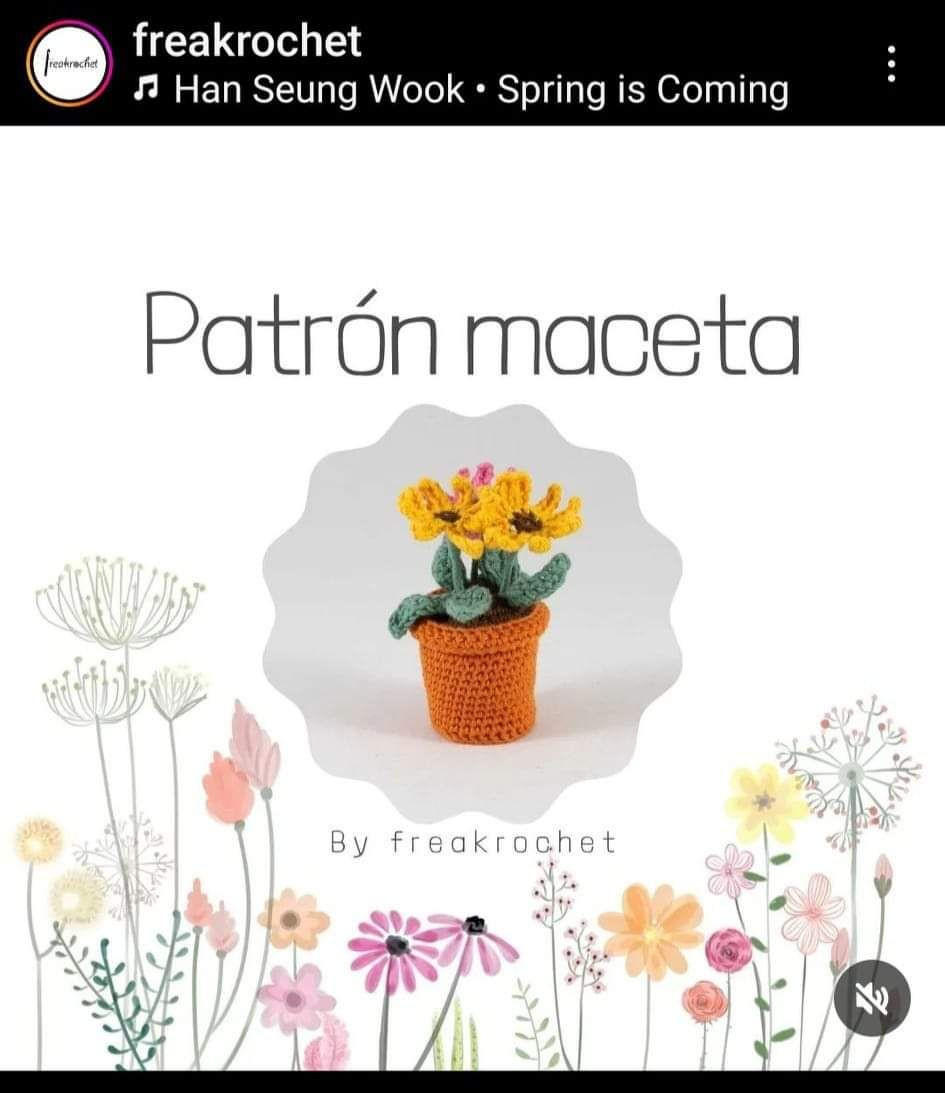 Patron maceta crochet con flores amarillas y rosas