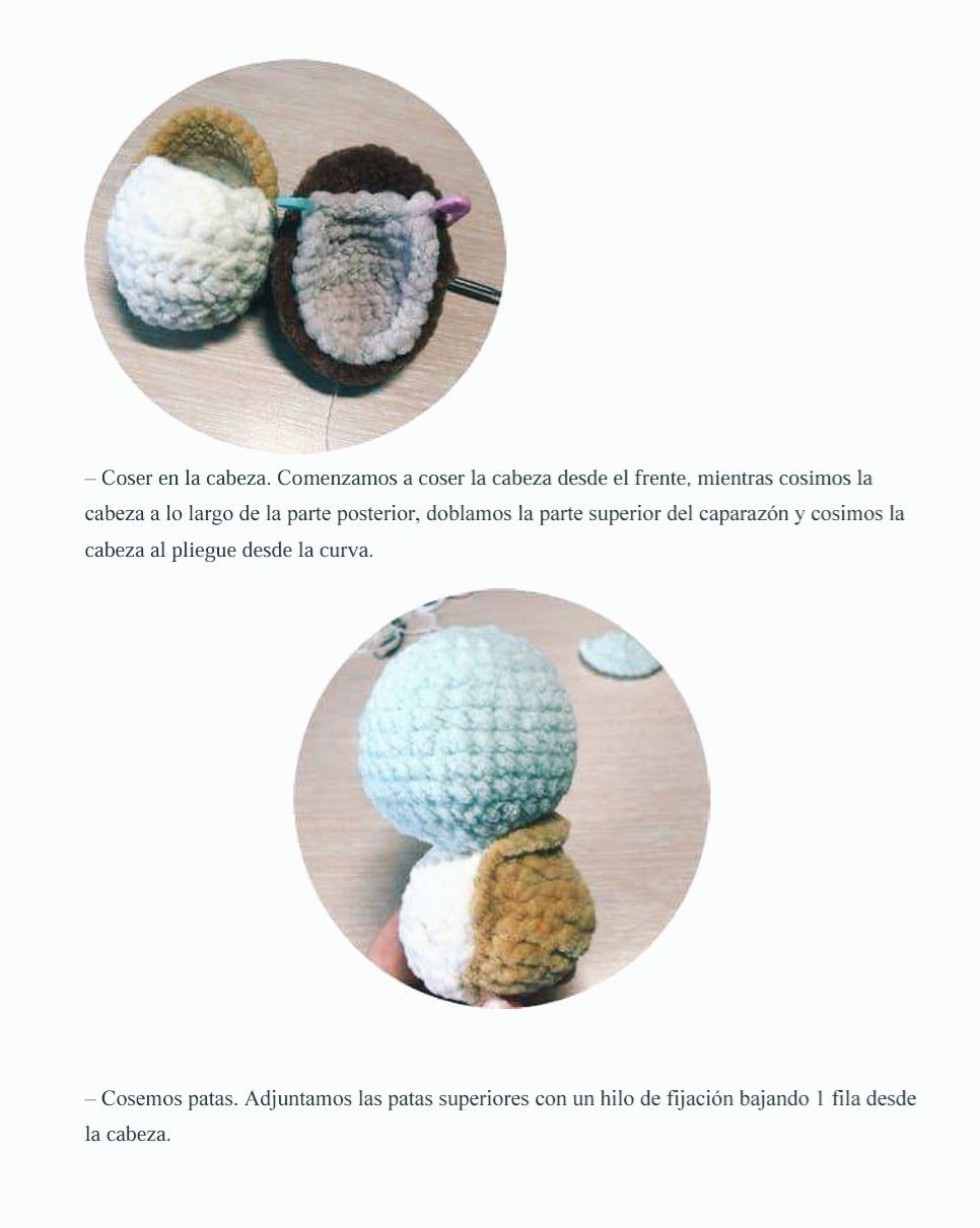 Patron Tortuga Amigurumi Facil PDF Gratis