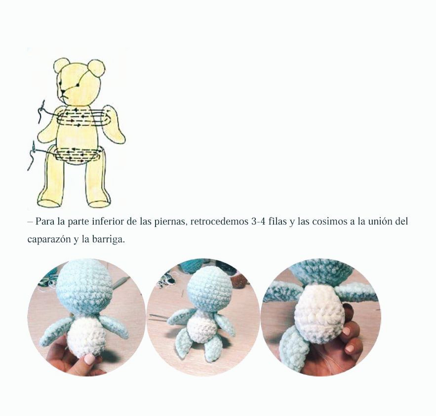 Patron Tortuga Amigurumi Facil PDF Gratis