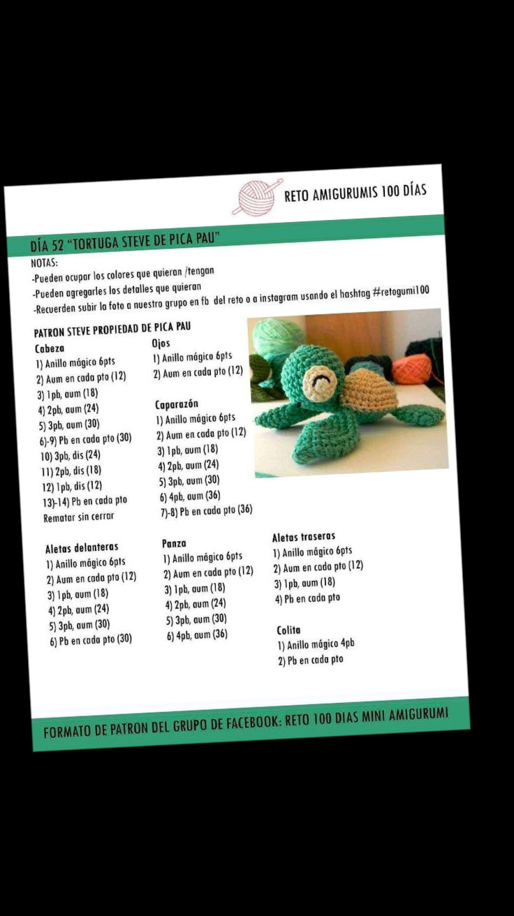 Patron Tortuga Steve de Pica Pau