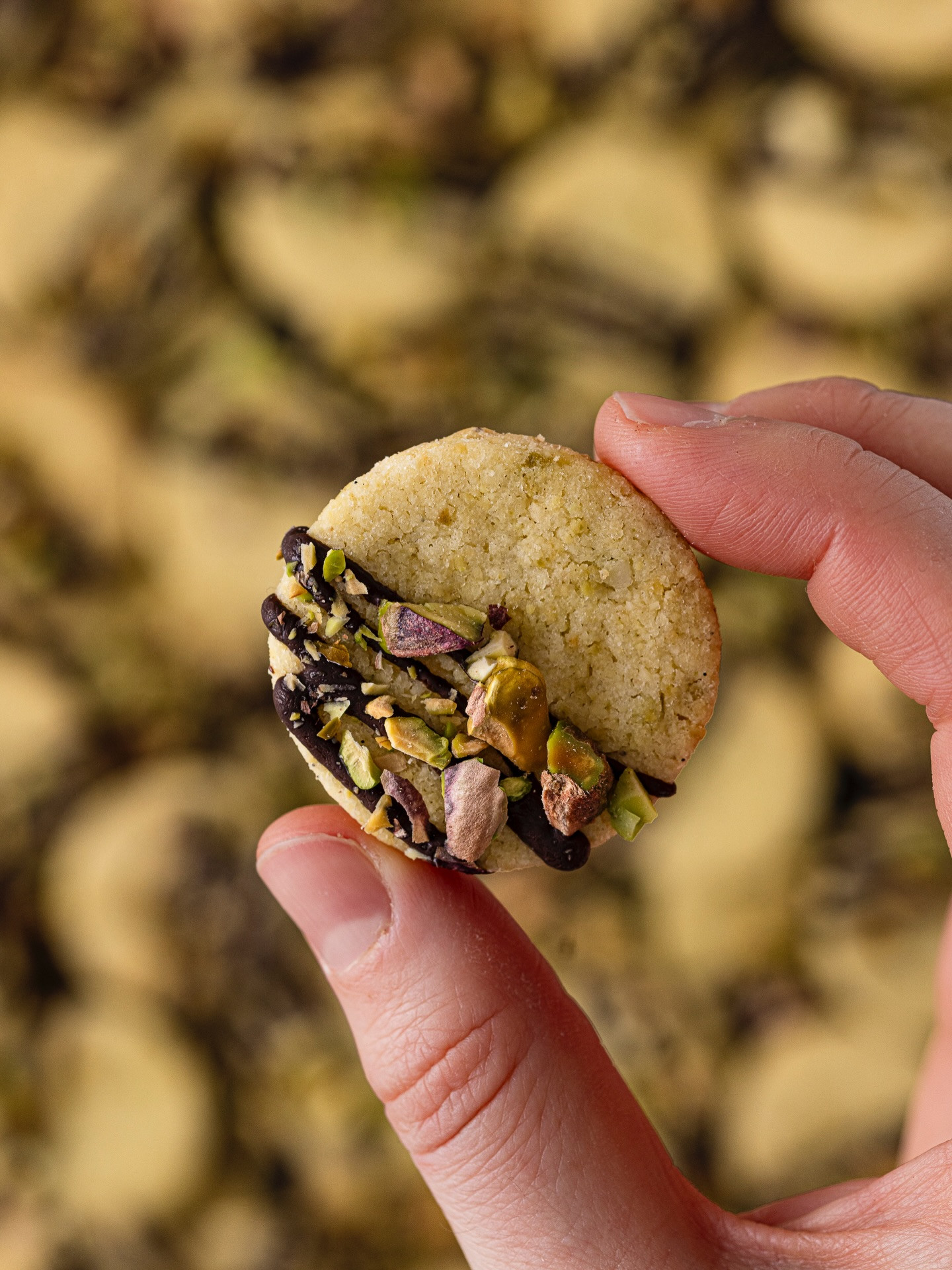 Pistazien Plätzchen – Zarte Weihnachtskekse mit gemahlenen Pistazien, Mandeln und Schokoladenglasur