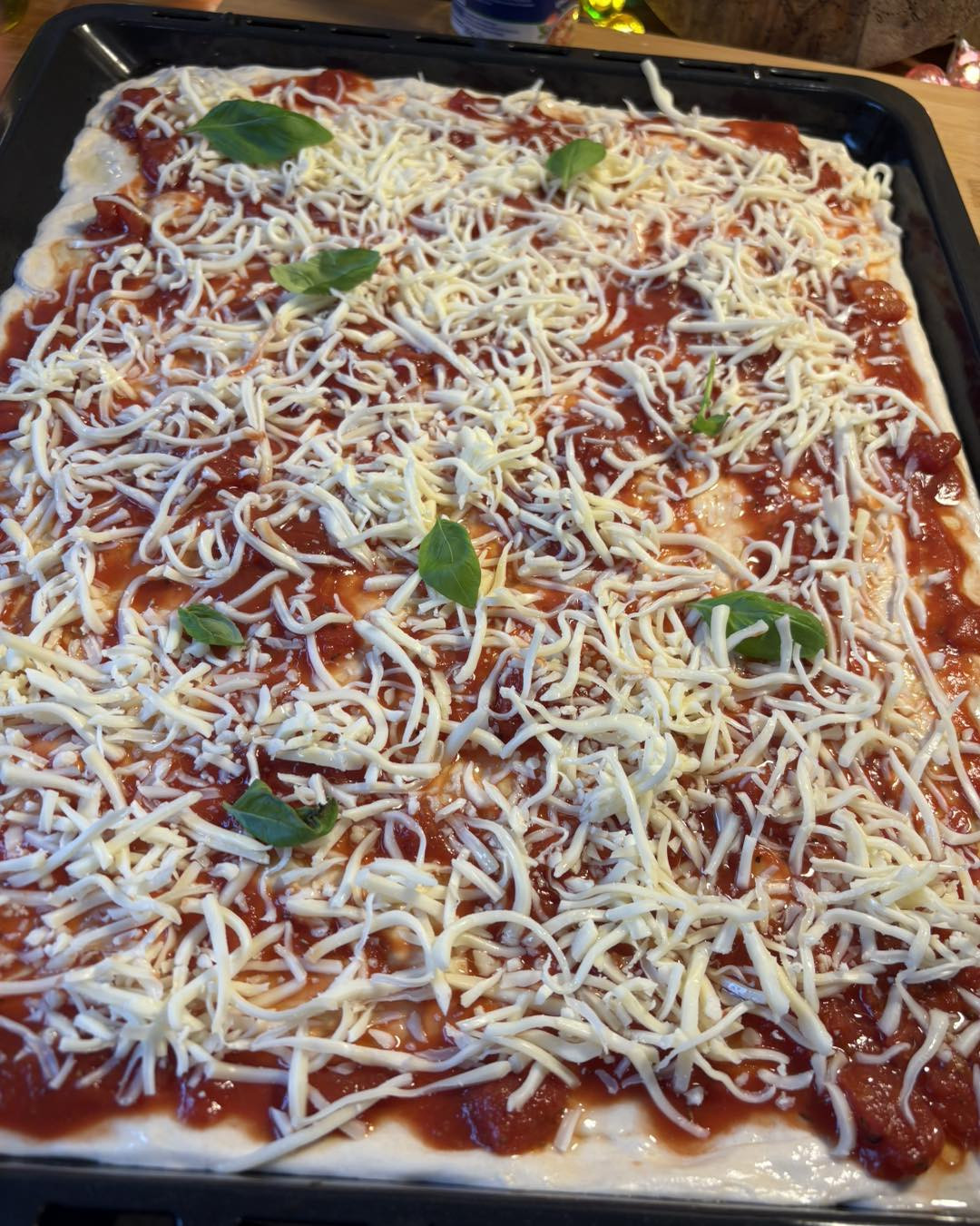 Pizza in teglia ricetta: Pasta lievitata con sugo, mozzarella e basilico fresco cotta al forno