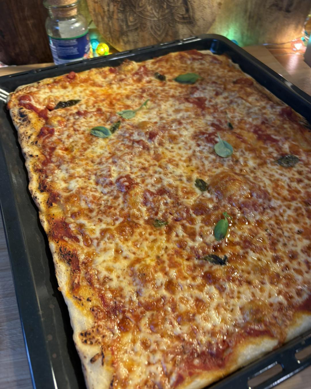 Pizza in teglia ricetta: Pasta lievitata con sugo, mozzarella e basilico fresco cotta al forno