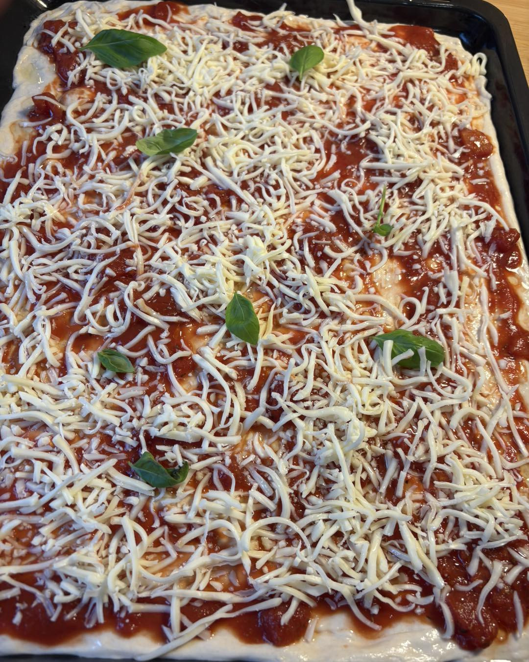 Pizza in teglia ricetta: Pasta lievitata con sugo, mozzarella e basilico fresco cotta al forno