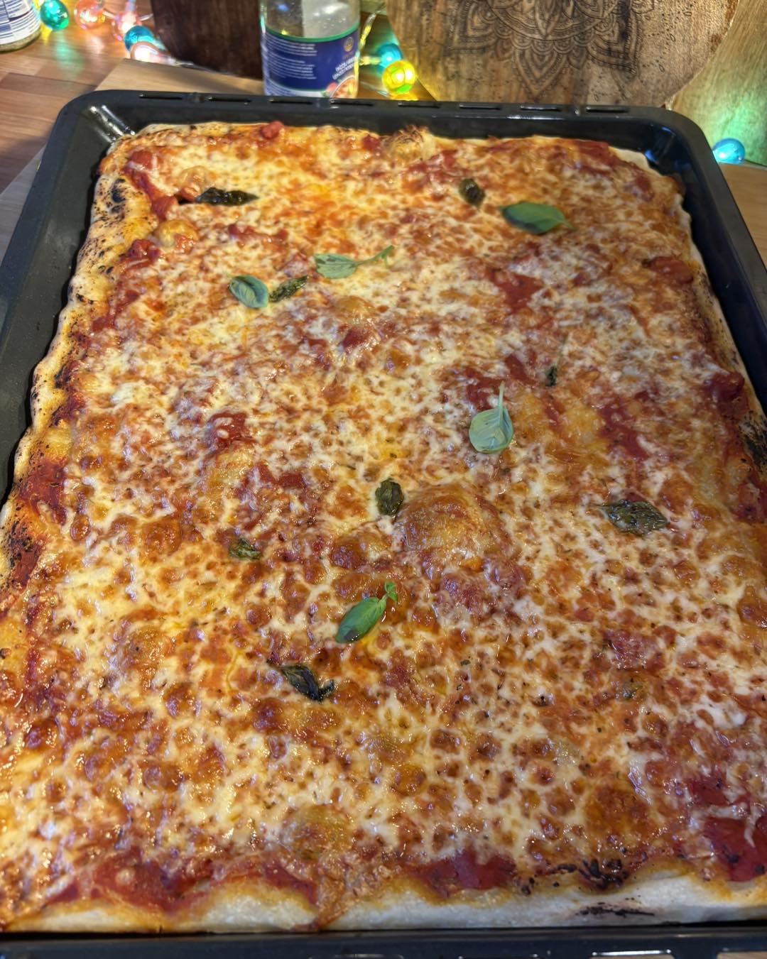 Pizza in teglia ricetta: Pasta lievitata con sugo, mozzarella e basilico fresco cotta al forno