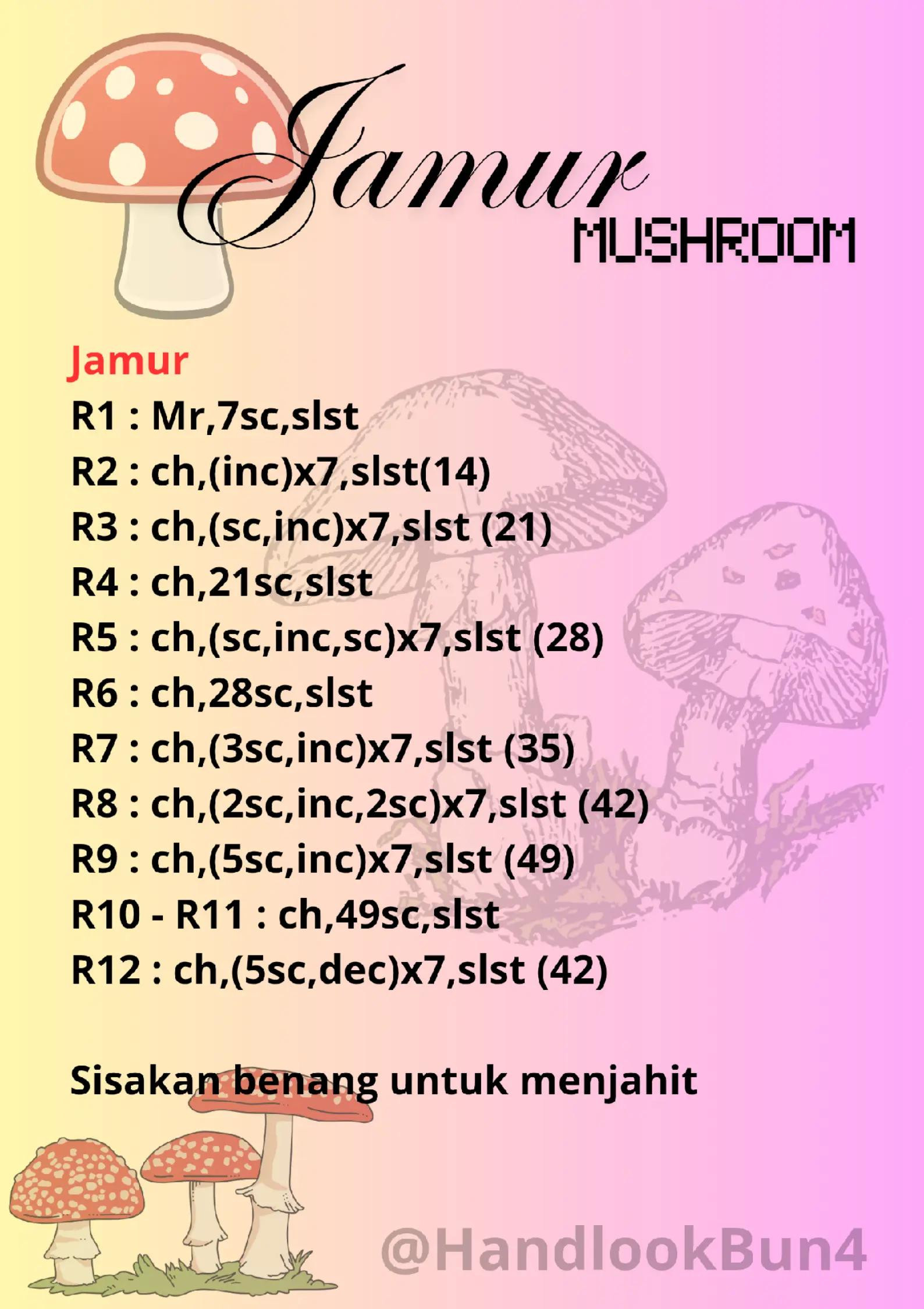 Pola Móc Len Nấm Đỏ Trắng Dễ Dàng Cho Người Mới Bắt Đầu