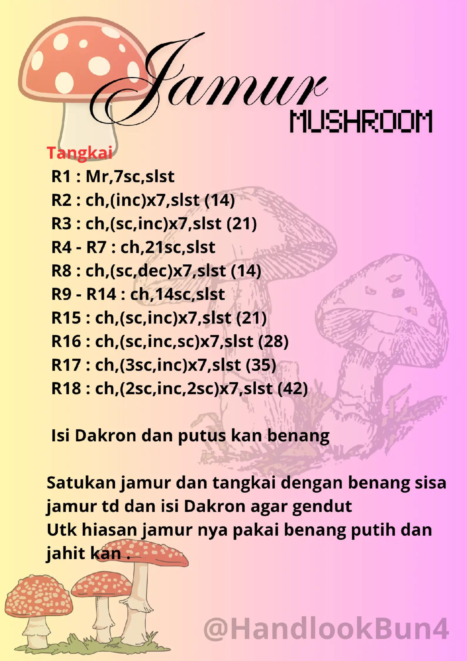 Pola Móc Len Nấm Đỏ Trắng Dễ Dàng Cho Người Mới Bắt Đầu