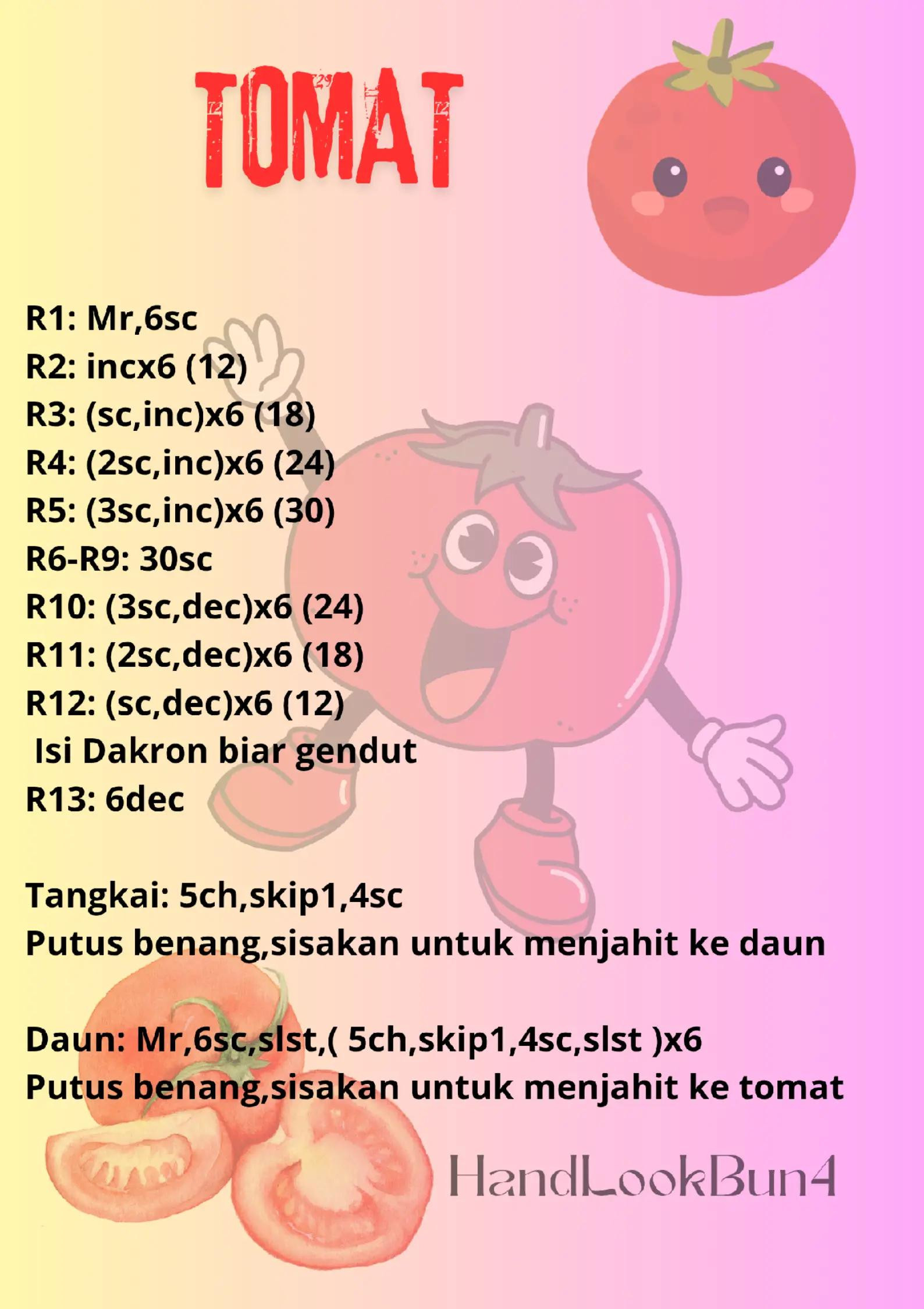 Pola Móc Len Tomat Đỏ Dễ Dàng Cho Người Mới Bắt Đầu