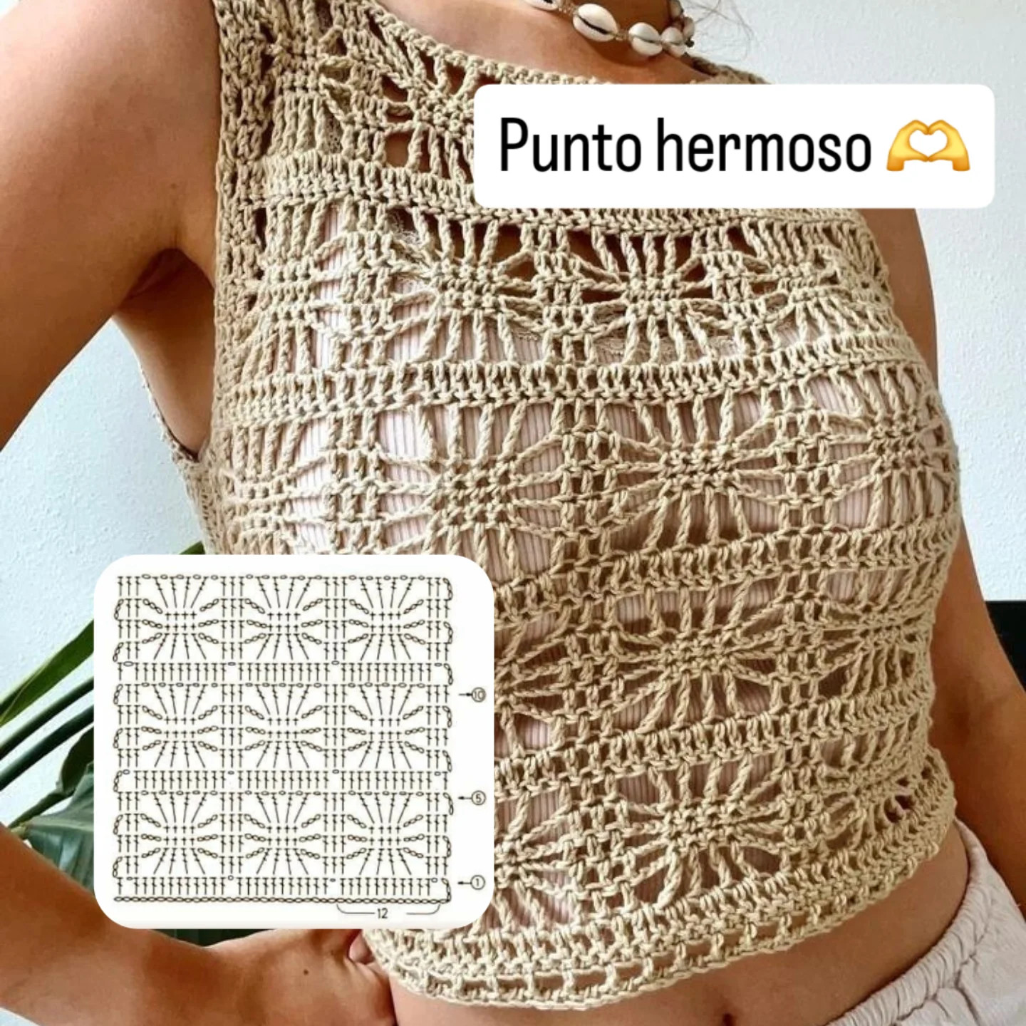 Punto hermoso: chart móc len mẫu hoa văn tinh tế cho áo dài tay và crop top màu be