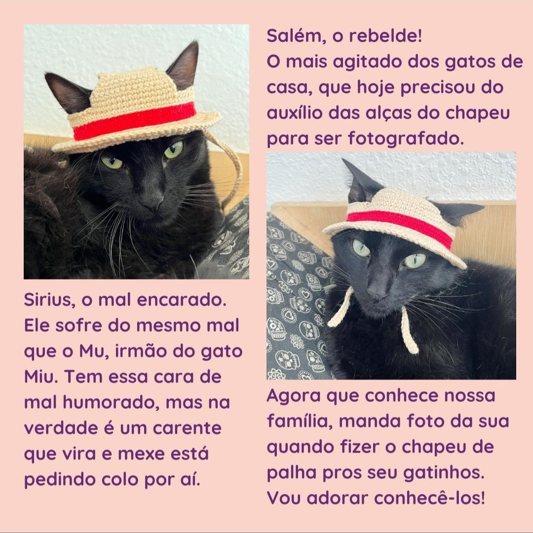 Receita Grátis: Chapéu Palha Luffy Móc Len Para Gato