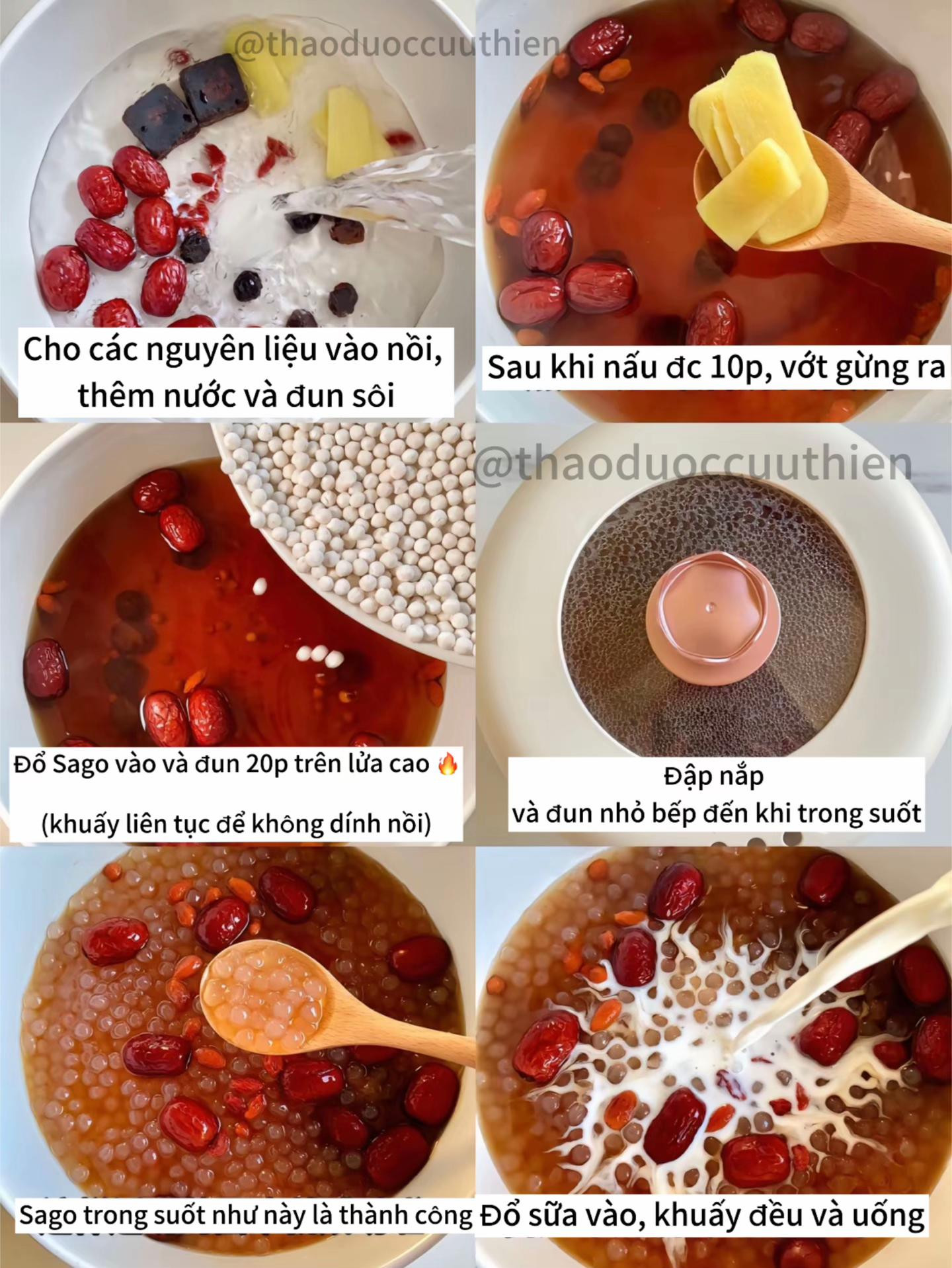 Sago sữa tươi táo đỏ, kỷ tử và long nhãn bổ dưỡng