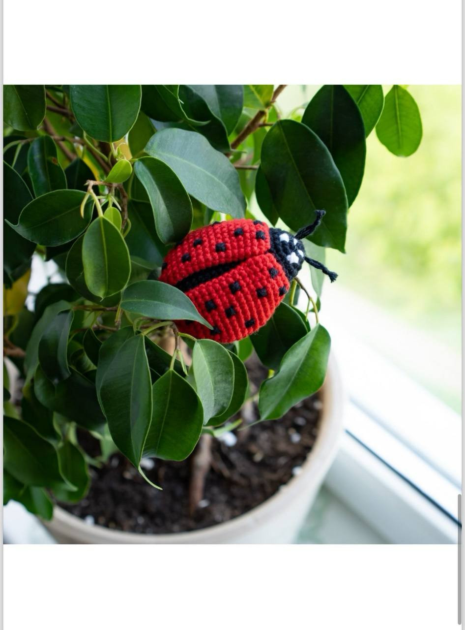 Схема вязания крючком божьей коровки: материалы и пошаговое описание