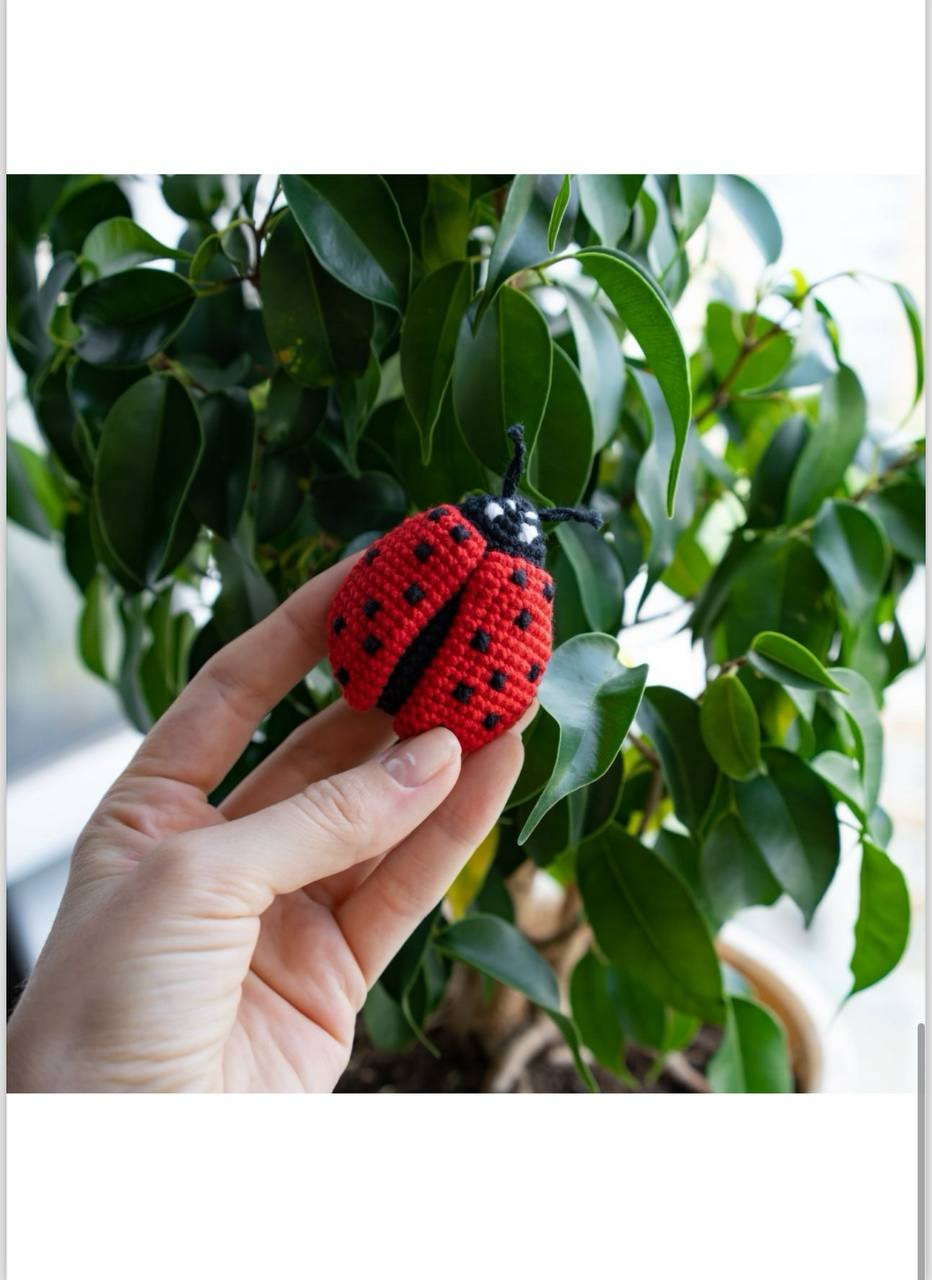 Схема вязания крючком божьей коровки: материалы и пошаговое описание