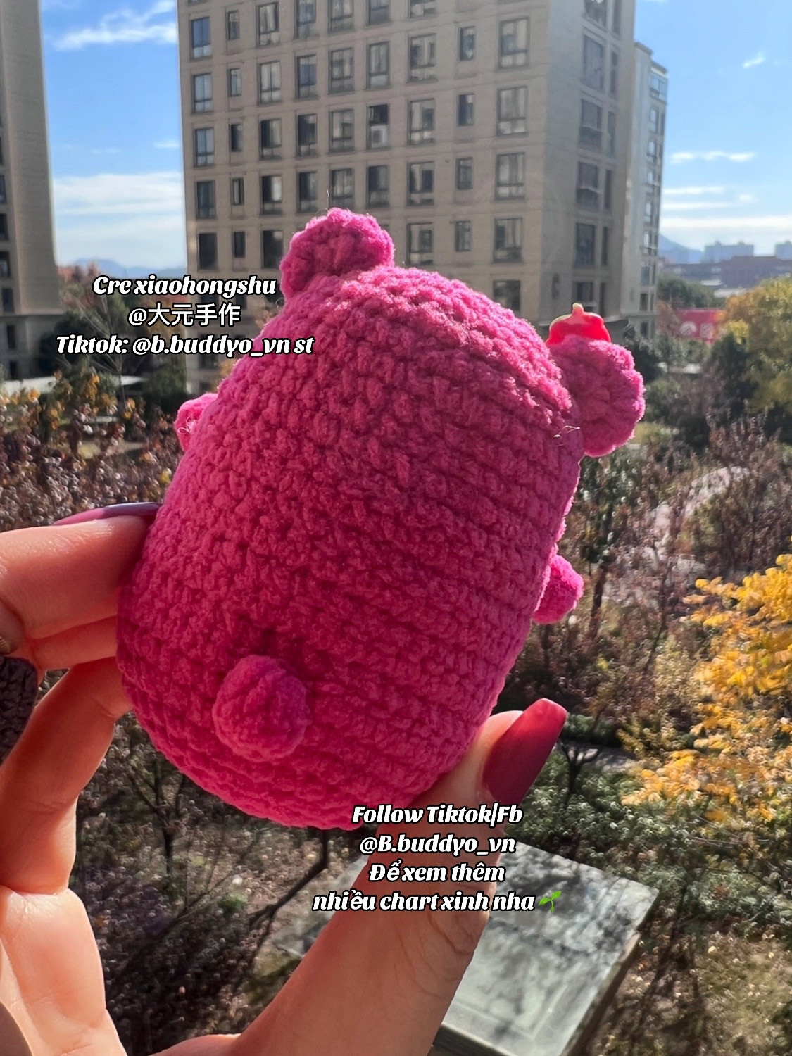Strawberry Bear Mochi Crochet Pattern